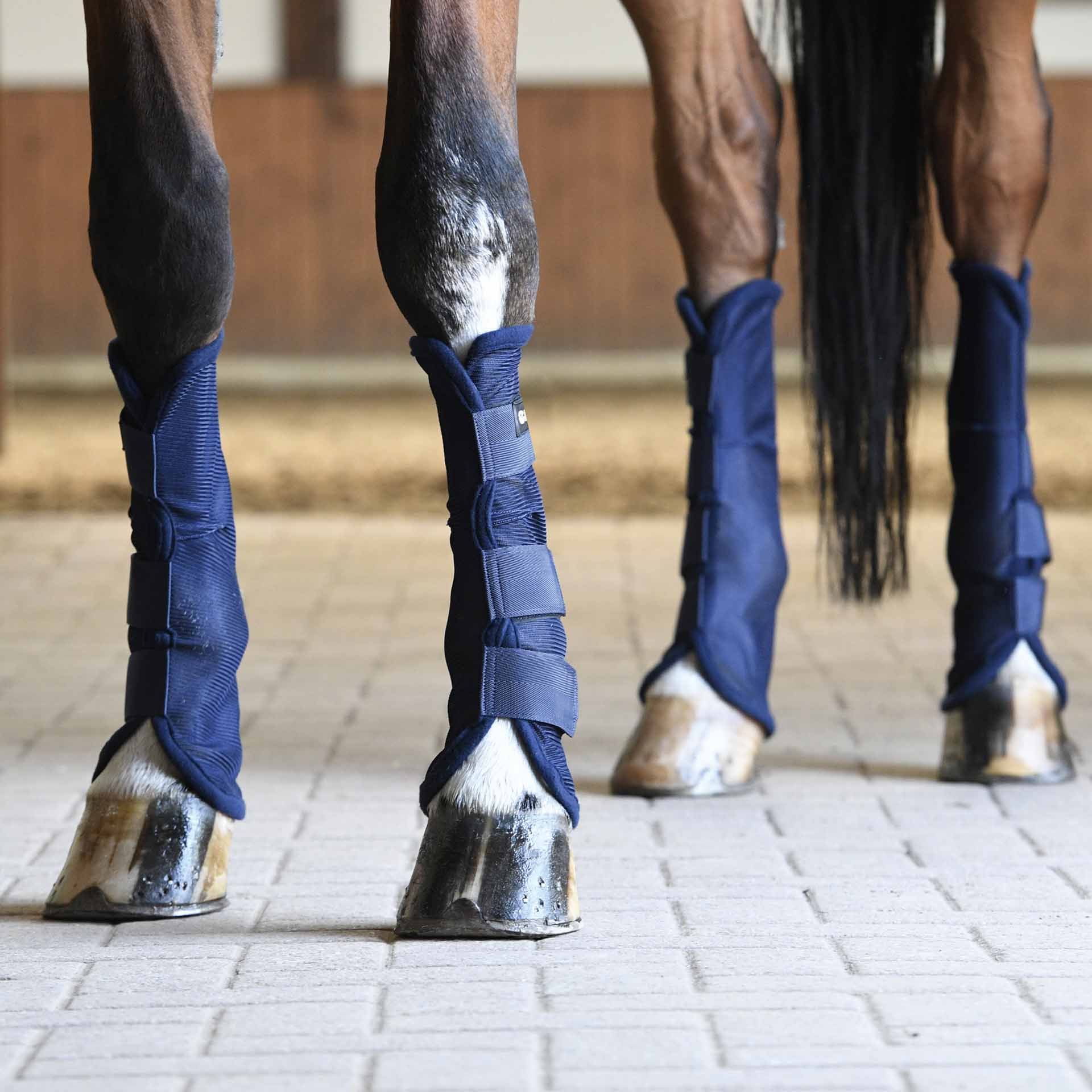 BUSSE Stinchiere antimosche COMFORT II, protezione dagli insetti, in uso, in scuderia