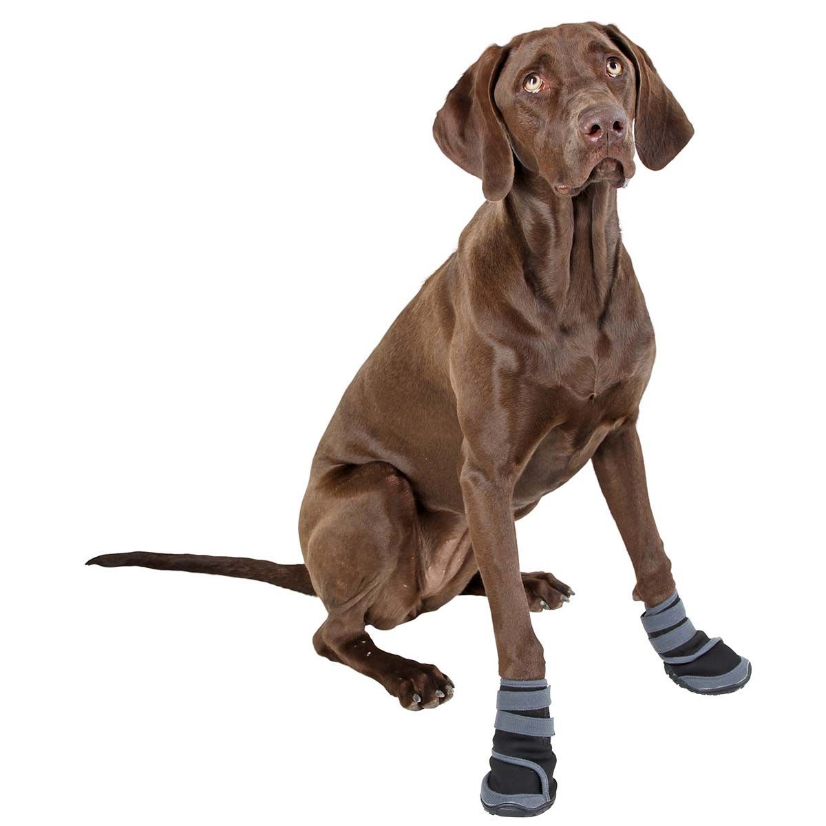 Kerbl Pfotenschutz-Schuhe Active, Hundeschuhe 2er-Set, L