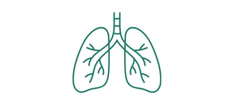 Vie respiratorie