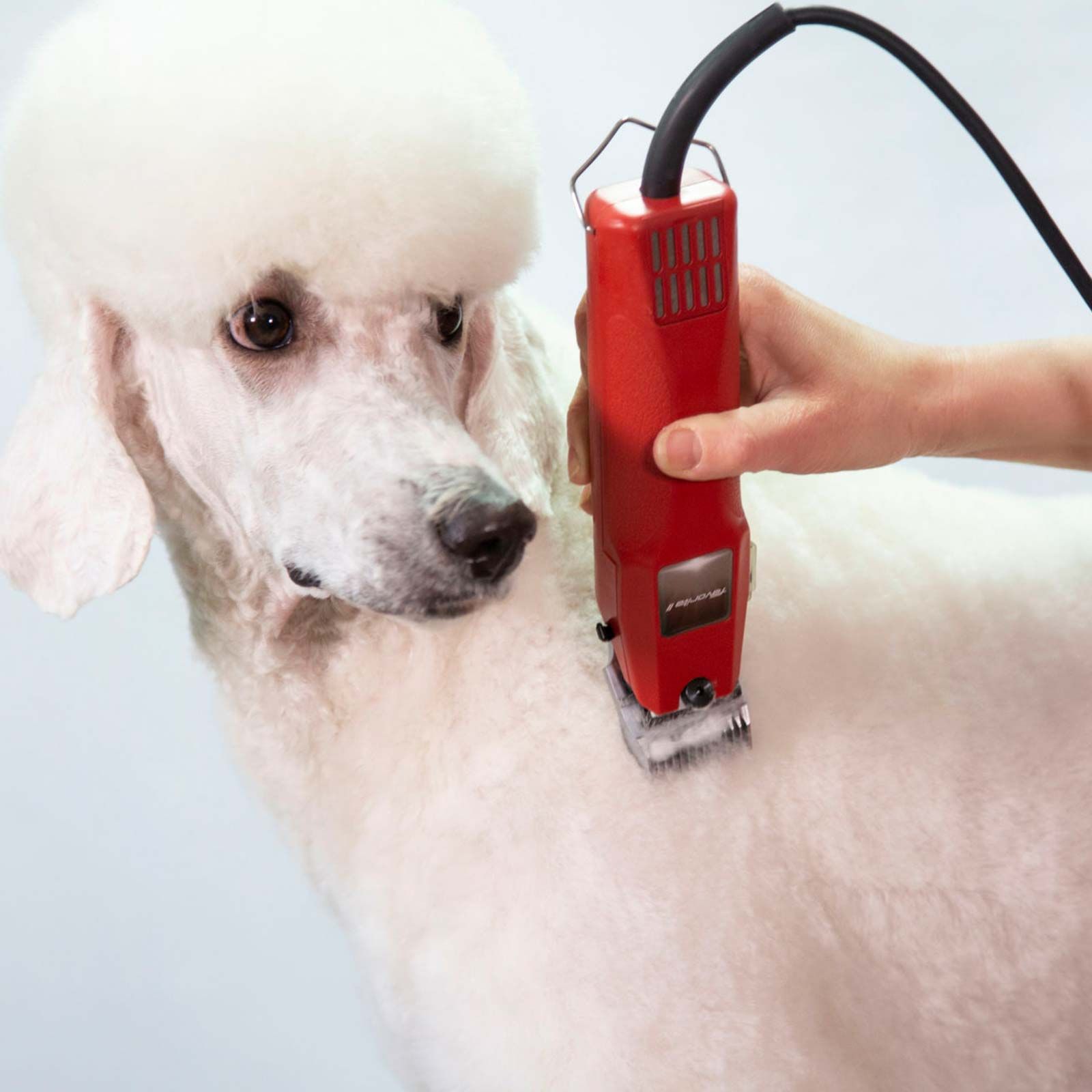 Aesculap Favorita II Schermaschine, Hund & Pferd ohne Scherkopf, im Einsatz