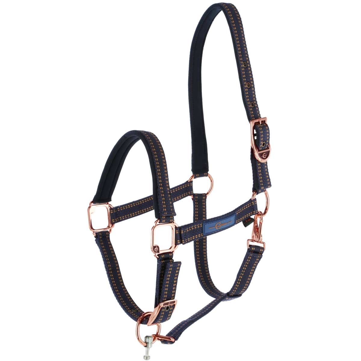 GoLeyGo 2.0 licou de cheval bleu/caramel X-FULL
