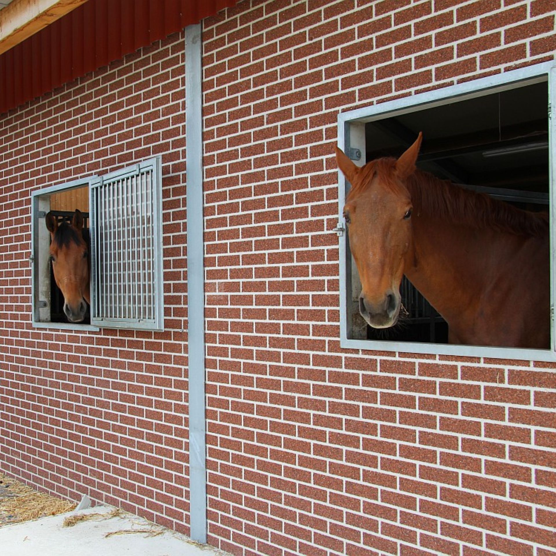 pferd, stall, stallung, backsteinwand, stallfenster