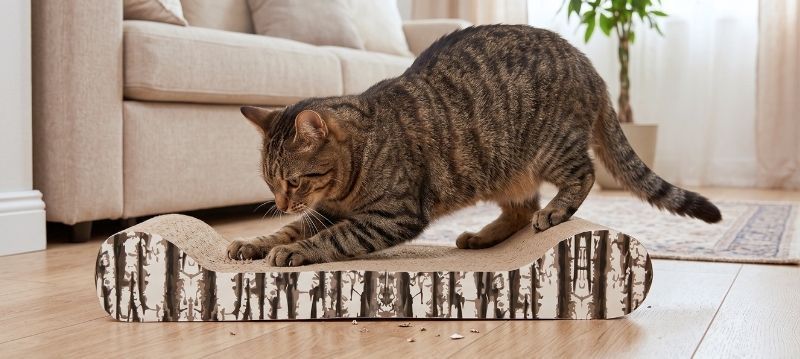 Scratching Board