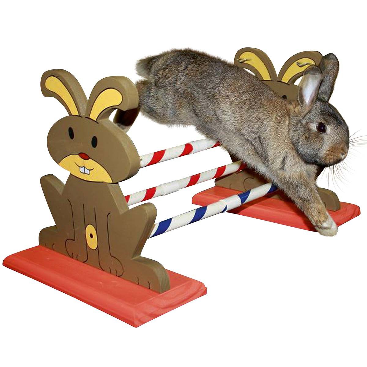 Kerbl Agility Nagerhürde für Nager, 62 x 33 x 34 cm, im Einsatz