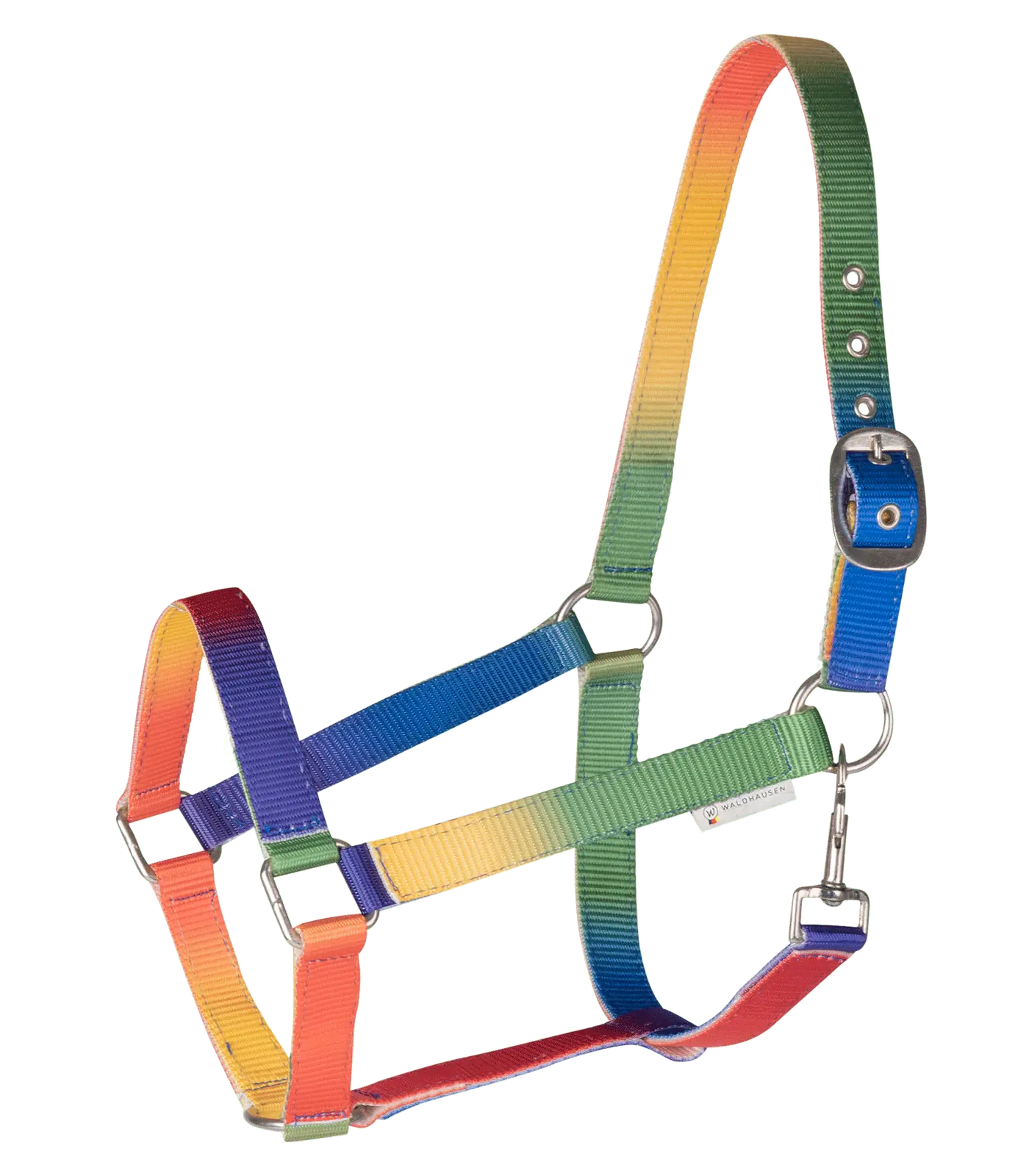Licol Arc-en-ciel Waldhausen, Multicolore Néon pour Cheval & Poney, Cob