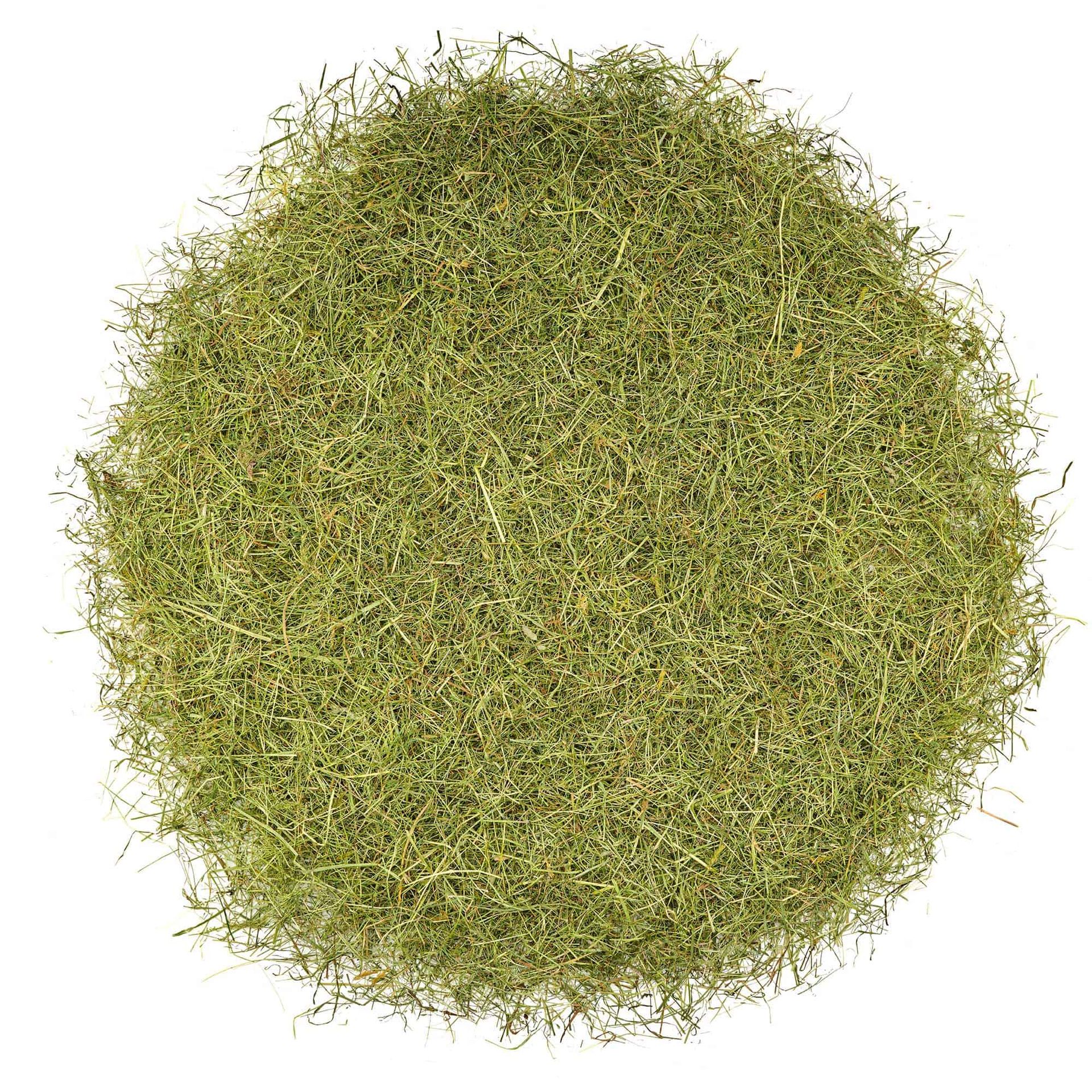 Heuland Organic Hay Premium Plus, top view