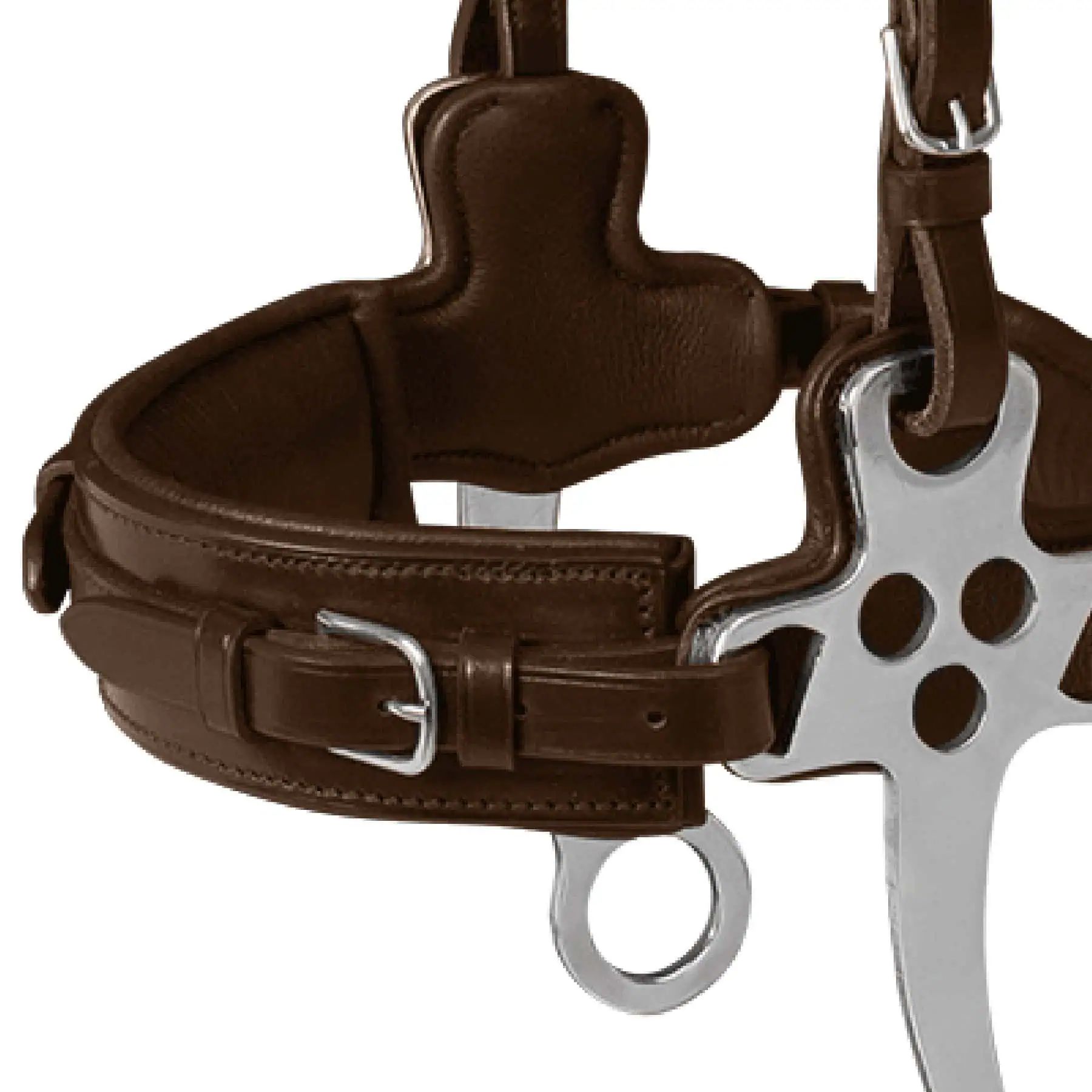 Waldhausen X-Line Hackamore Trensenzaum, gebisslos, Detailansicht