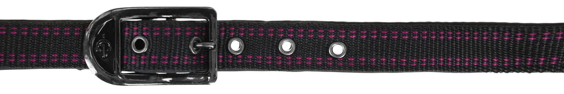 Covalliero Halfter Royal Pferdehalfter, schwarz/fuchsia, schwarz/fuchsia, SH