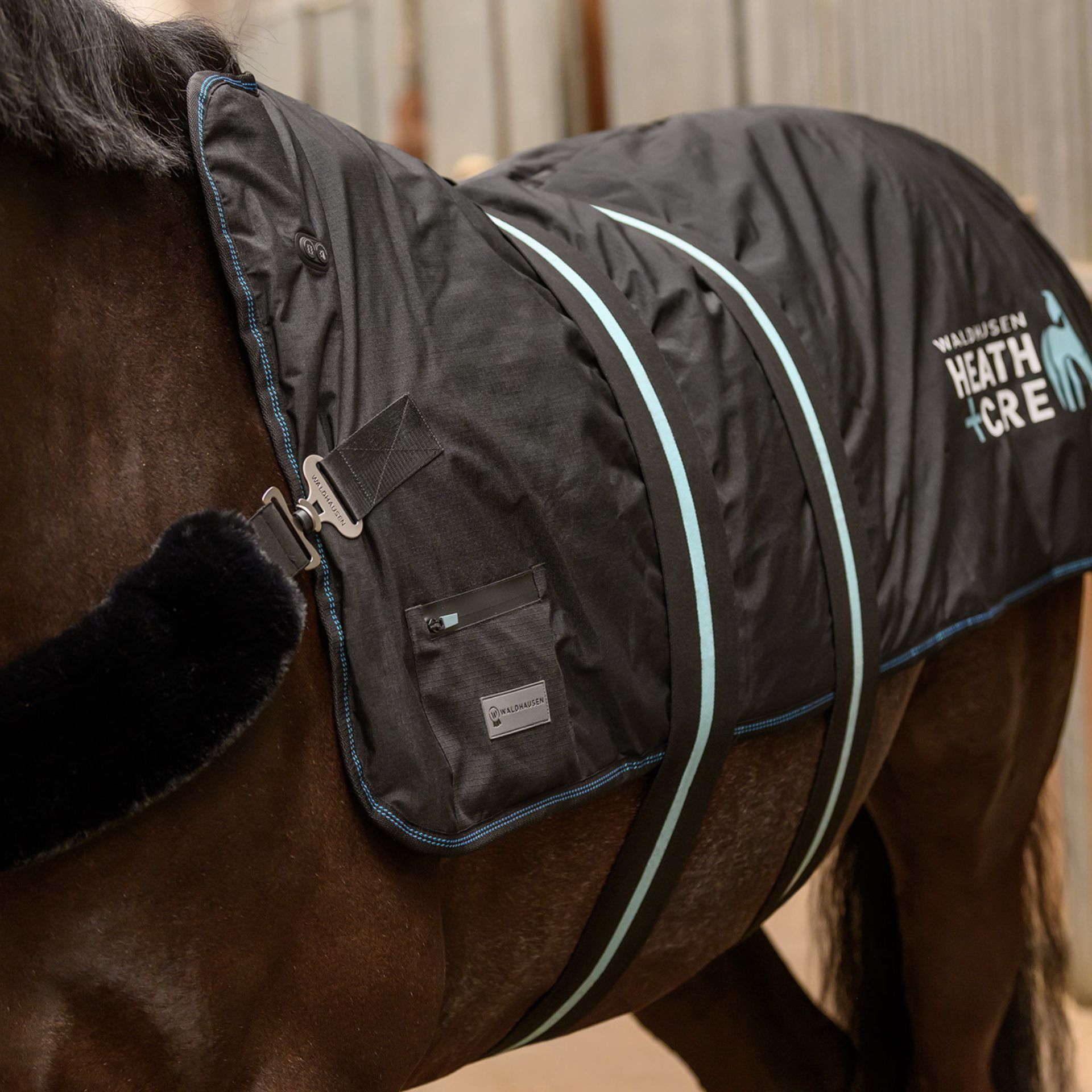 horse, saddle, blanket, black, strap