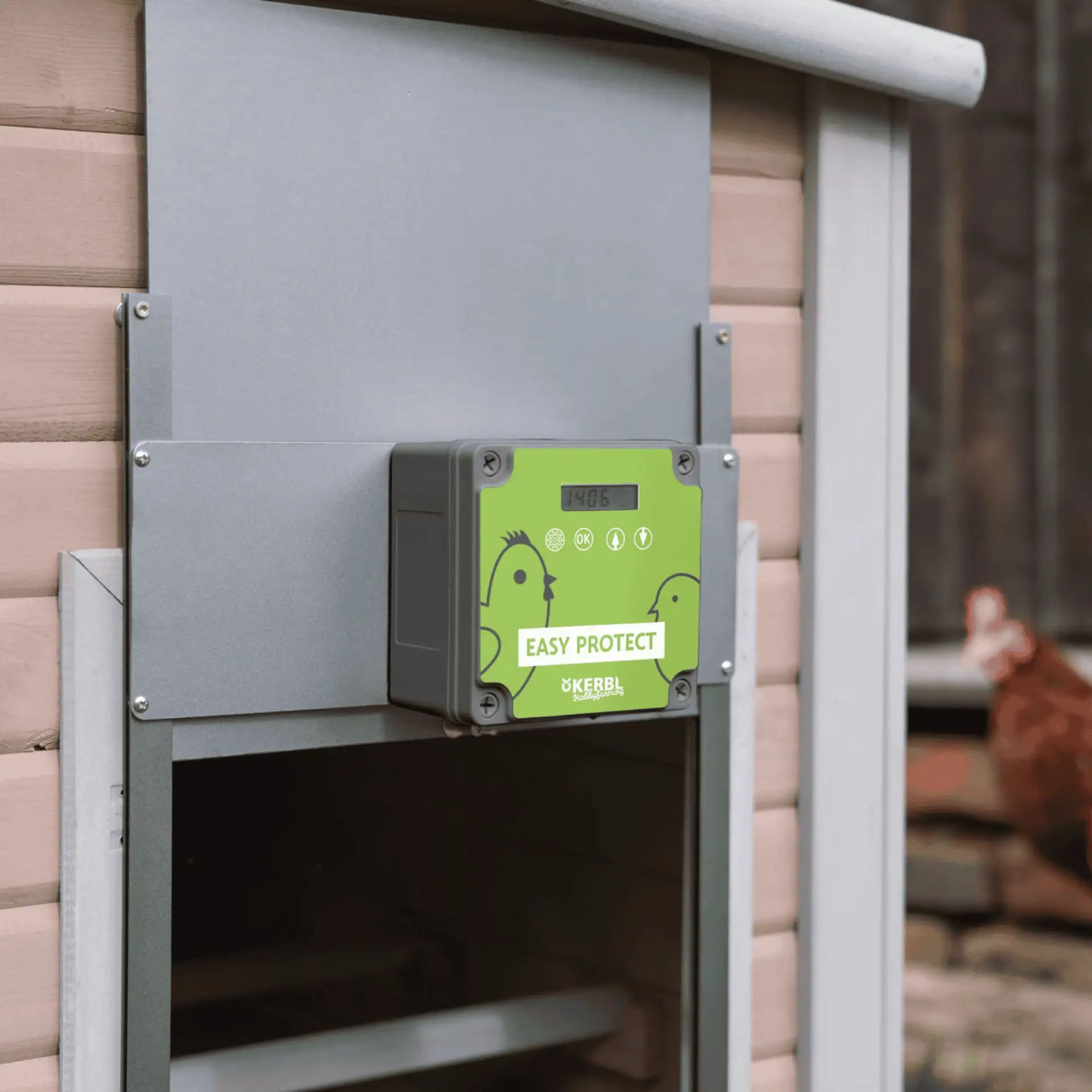 Kerbl Automata Tyúkajtó Napelemes Szett EasyProtect Tyúkólhoz, használat közben, az istállóban