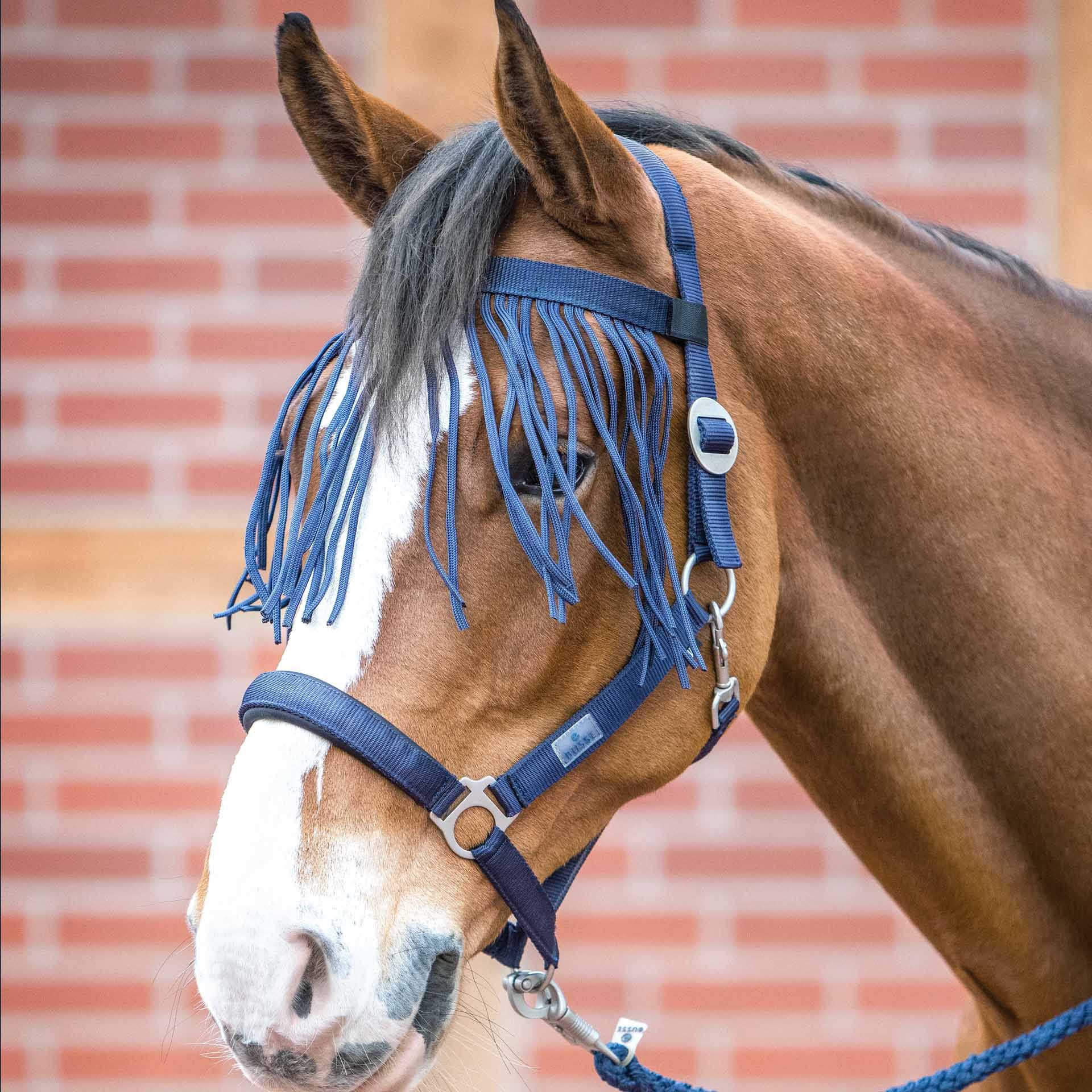 BUSSE légyzsinór VISBY II, rovarvédelem lovaknak legyek ellen, Pony navy