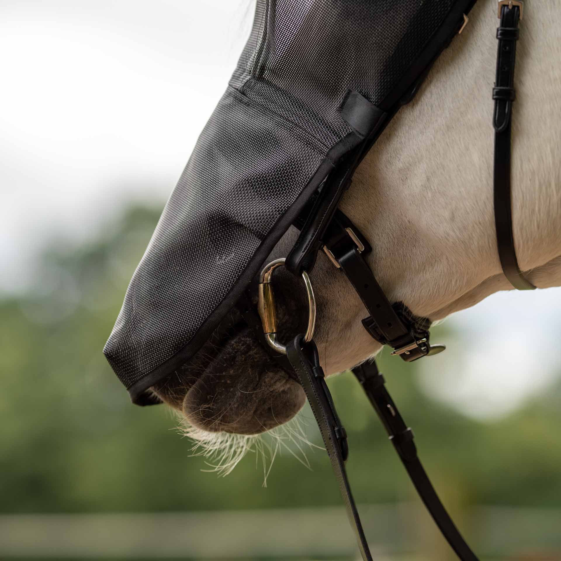 BUSSE légyálarc RIDING PLUS, szem- és orrlyukvédelem lovagláshoz, használat közben