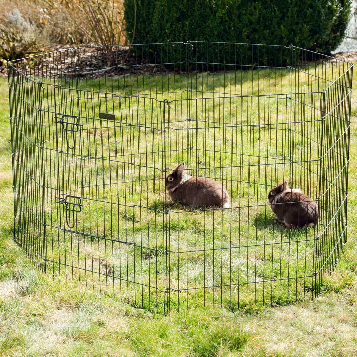 Kerbl Țarc pentru Căței și Animale Mici, 8 Elemente cu Ușă, în utilizare