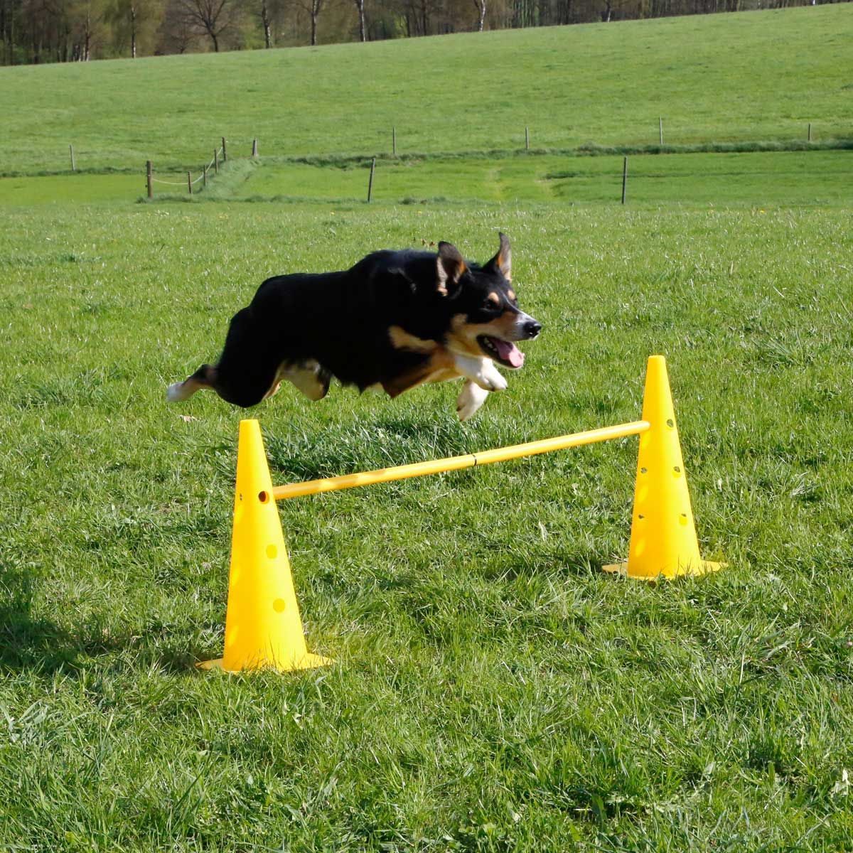 Kerbl Agility Akadálykészlet Pilonokkal, 3 db, Állítható, használat közben
