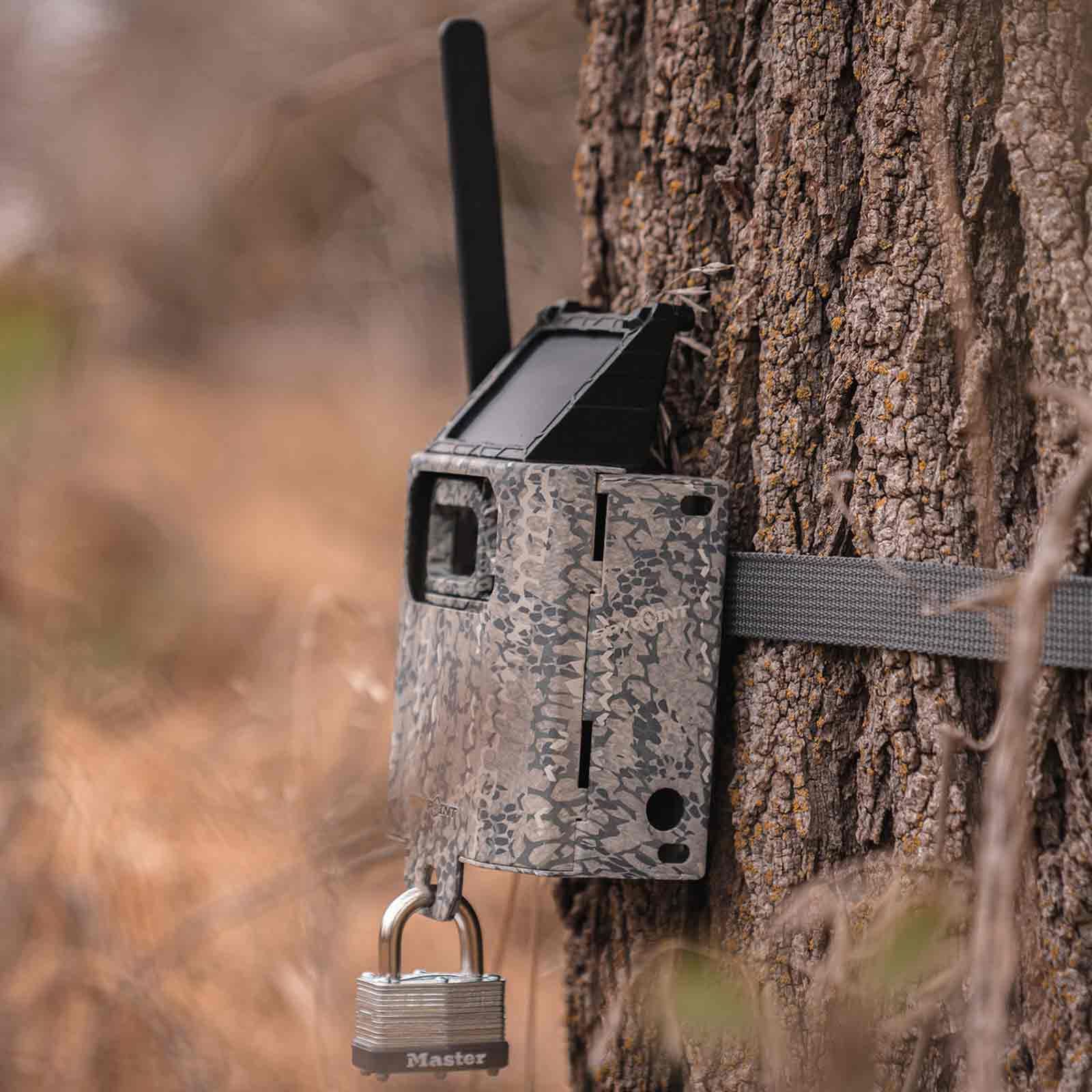 Spypoint SB-300S Sicherheitsbox aus Stahl für Wildkameras, im Einsatz