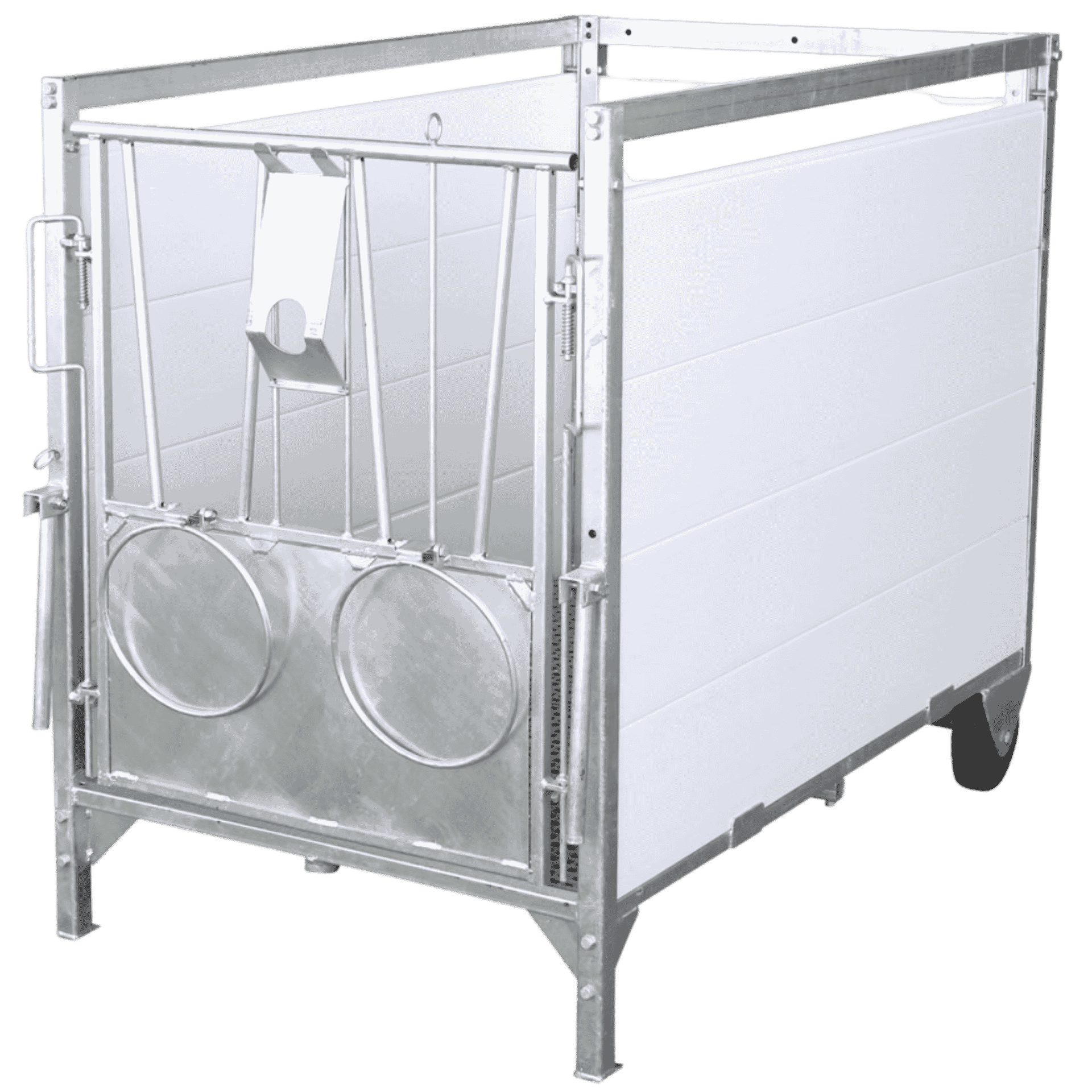 Rindvieh, Vieh, Stall, Stalltor, Metallplatten