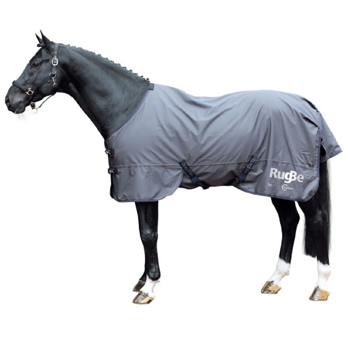 Covalliero Coperta da cavallo outdoor RugBe Zero, in uso