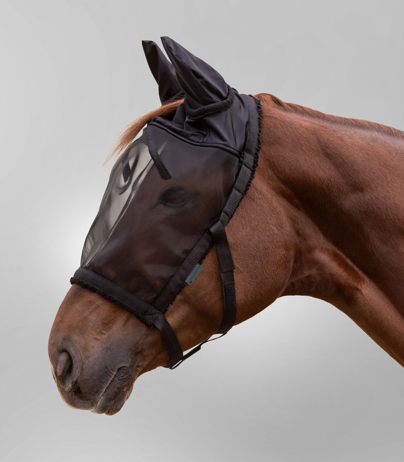 Waldhausen Licol de pâturage avec masque anti-mouches pour chevaux, noir, COB
