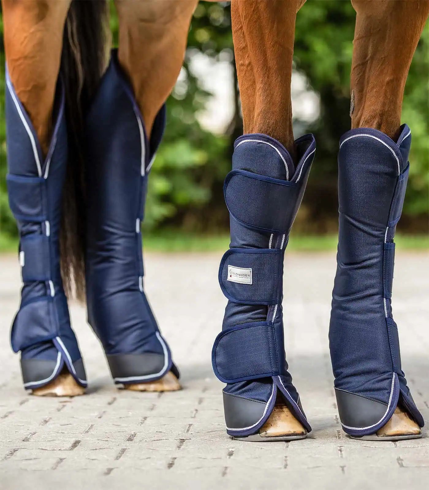 Guêtres de transport COMFORT Waldhausen, mousse anti-choc, lot de 4, bleu nuit, Pony