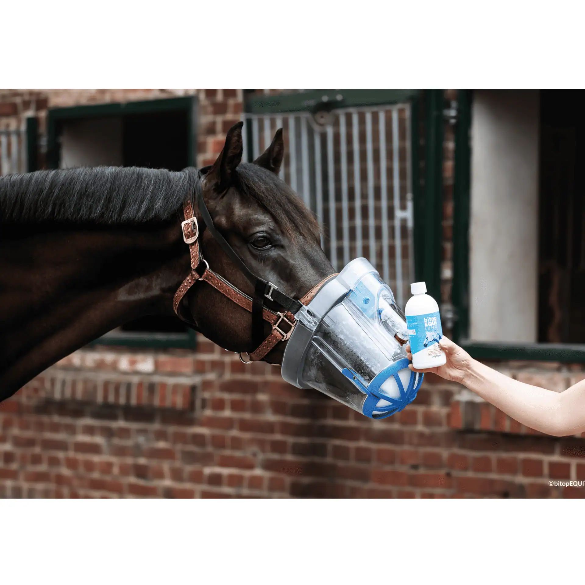 bitopEQUI LUNG Complete Nebuliser Solution for Horses, 500 ml, in use, in the stable