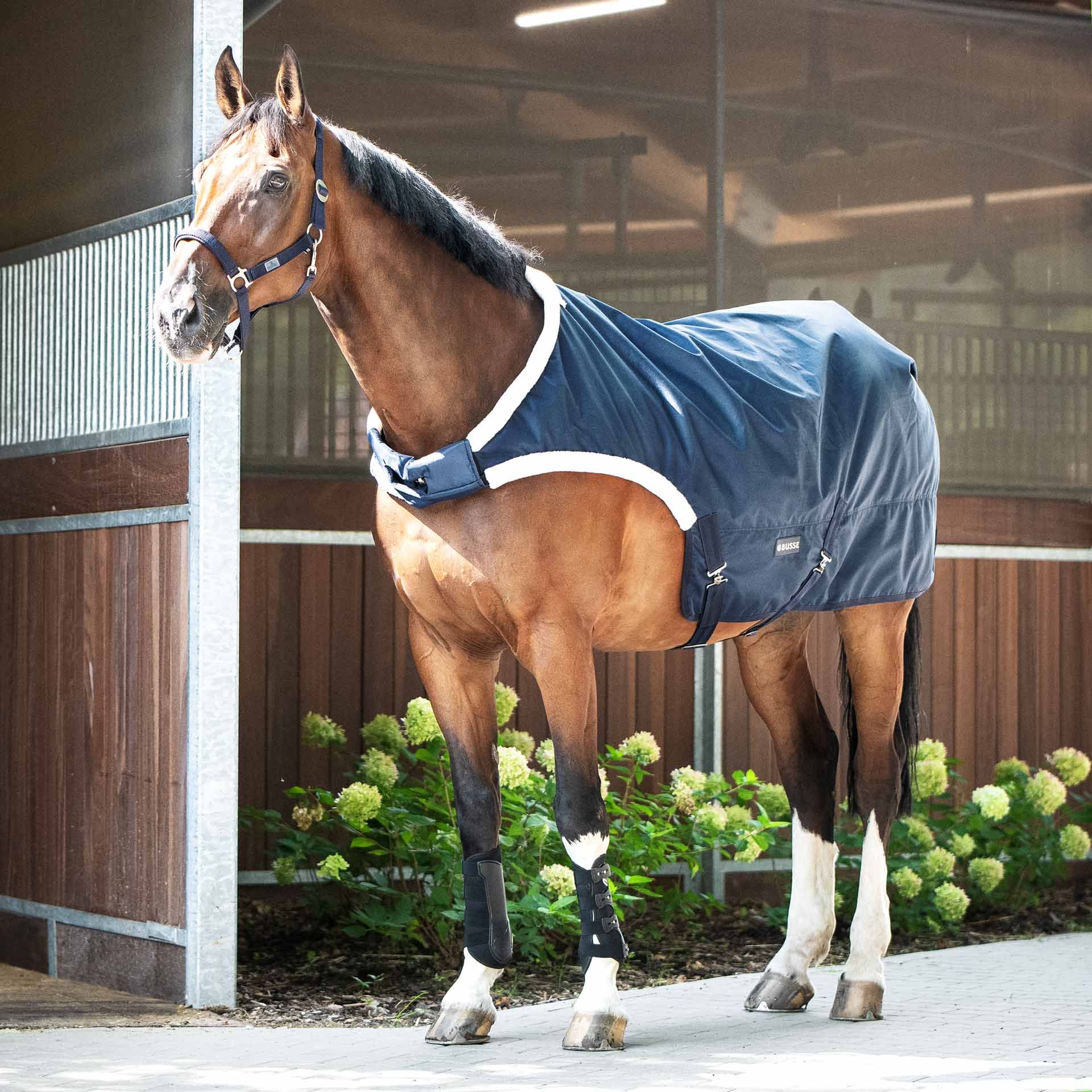BUSSE Führanlagendecke WALKING 100 125 navy