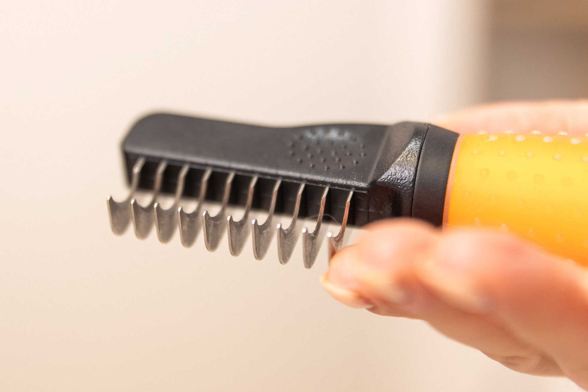 Wahl Entfilzungskamm für Hunde gegen Knoten, orange, Detailansicht, in der Hand