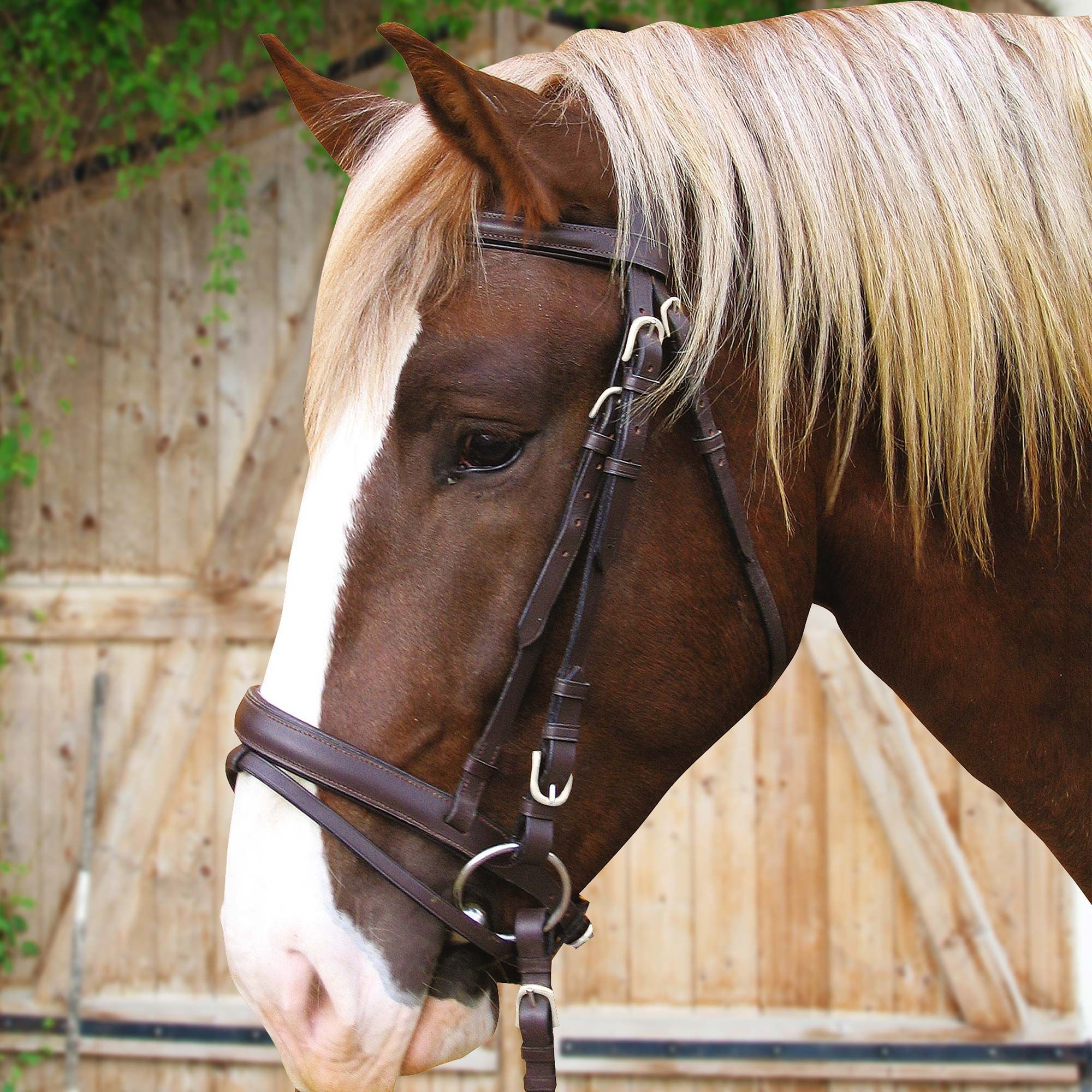 Covalliero Bride Cheval de Trait, Cuir, Sans Mors, Taille XXFull, marron