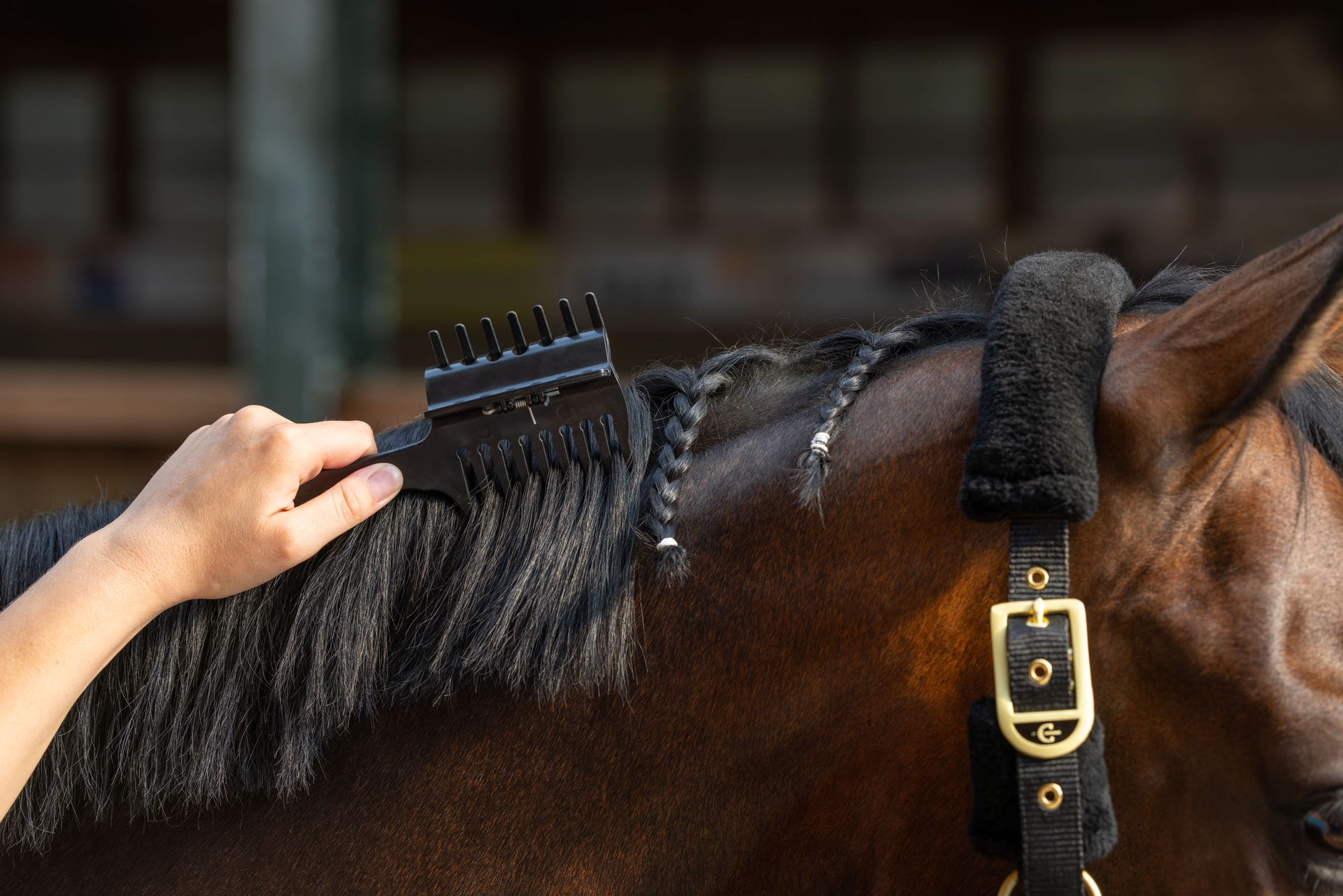 Peigne à crinière Covalliero Competition, noir, 3-en-1 avec clip, en utilisation