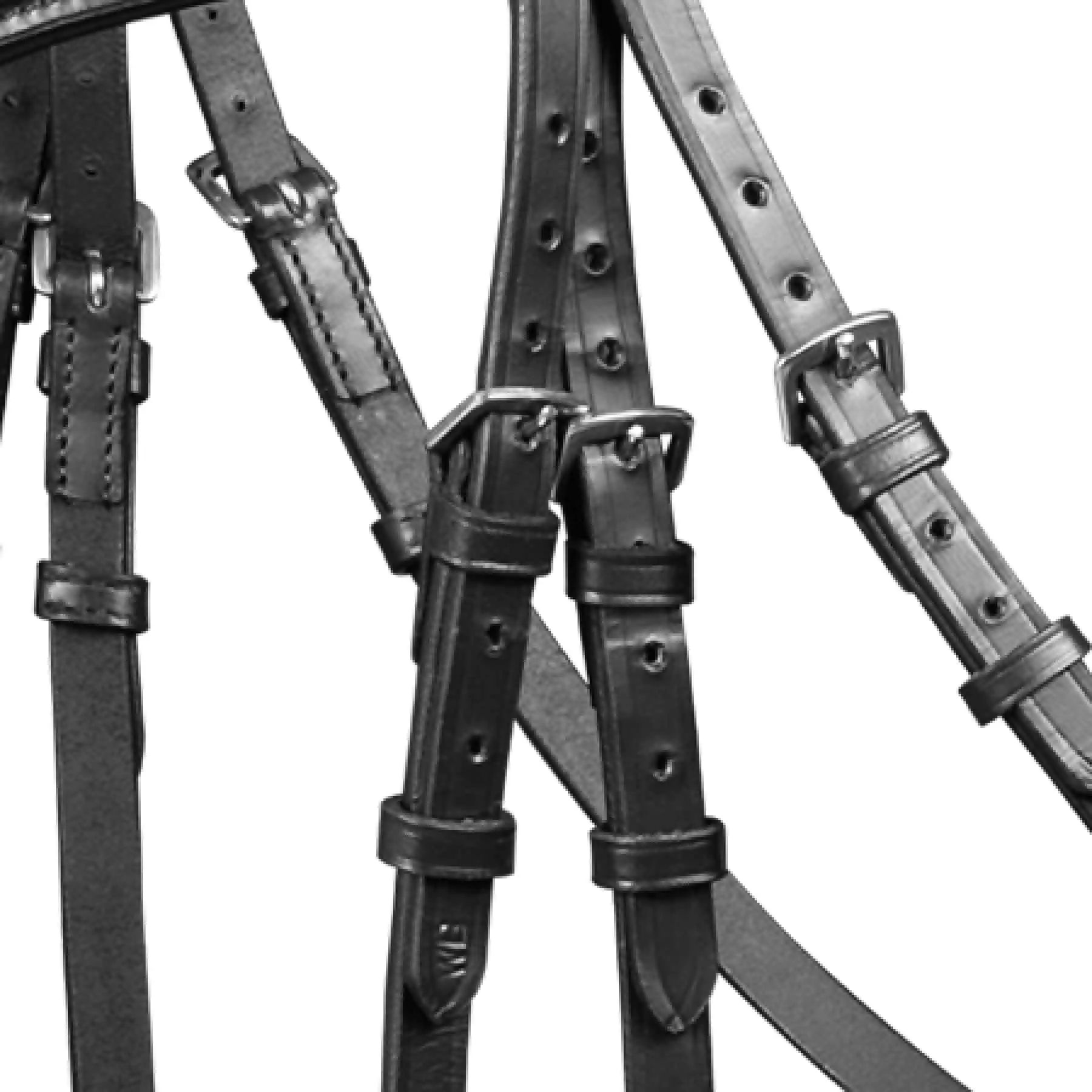 Waldhausen X-line Träns Hannover, tysk näsgrimma, pony, detaljbild, förslutning