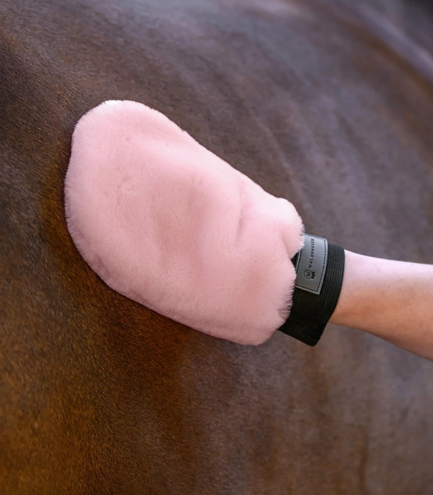 pinker Pad, Pferdepflege, Lammfell, Sattelpad, weicher Bezug