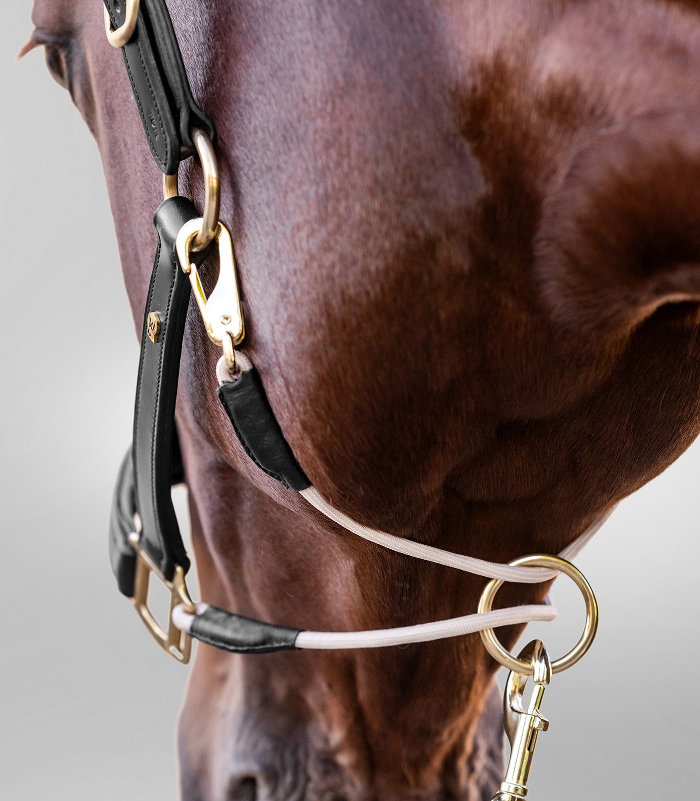 Waldhausen Licol en cuir S-Line Royal, anatomique, rembourré, détail
