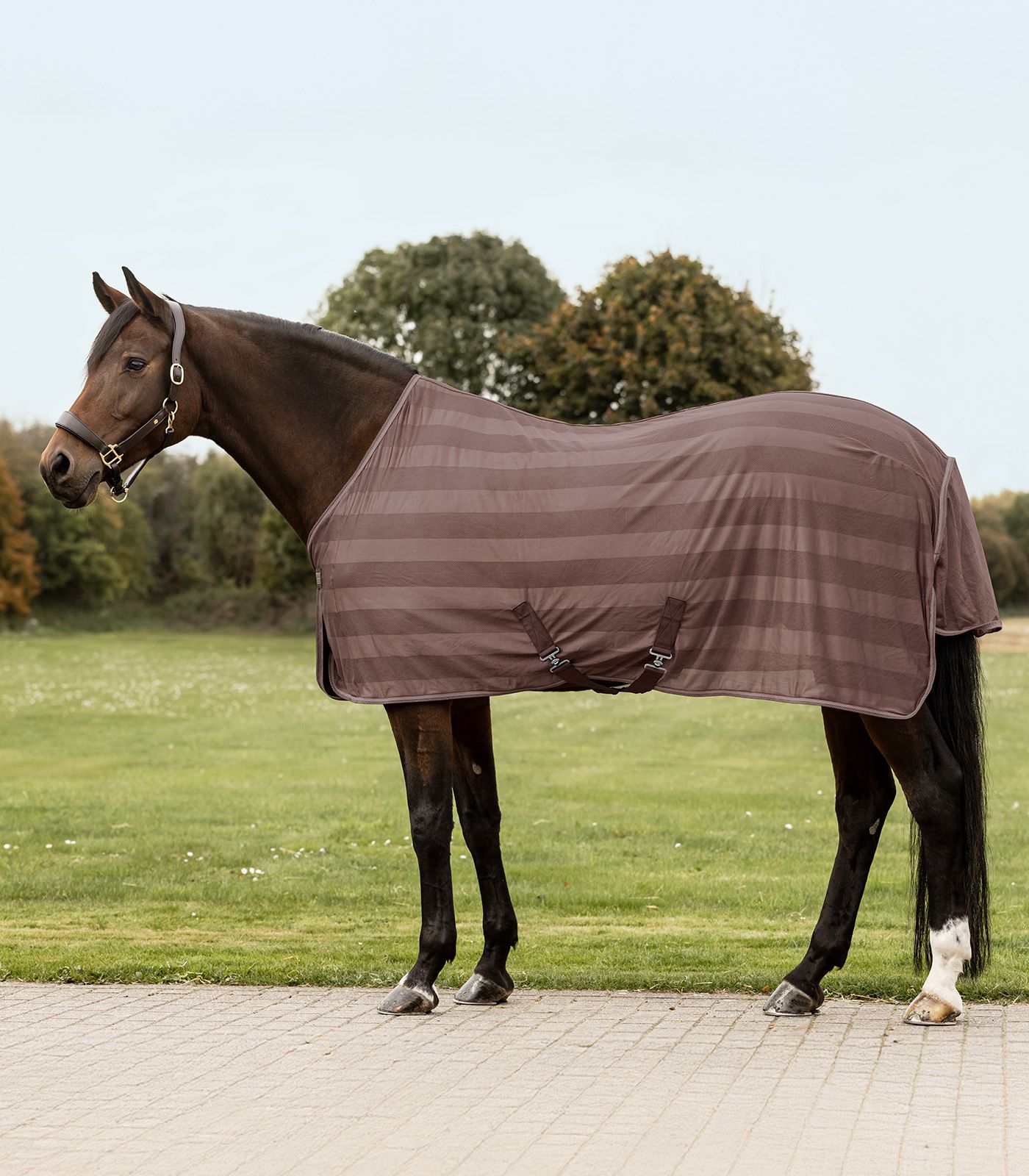 Waldhausen Fliegendecke Economic Kreuzbegurtung, mocca, 105 cm
