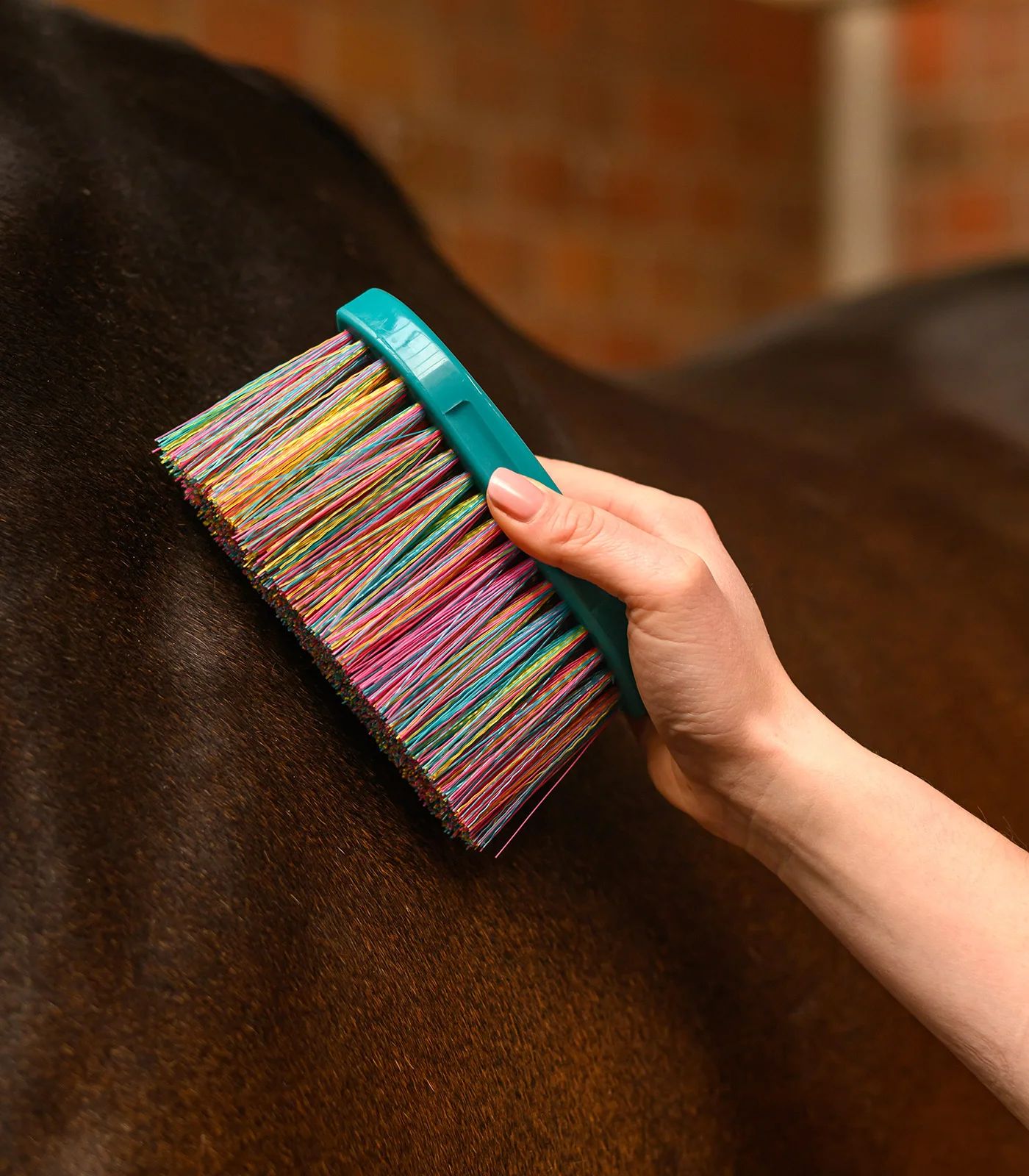 pferd, pflege, bürste, bunt, mane