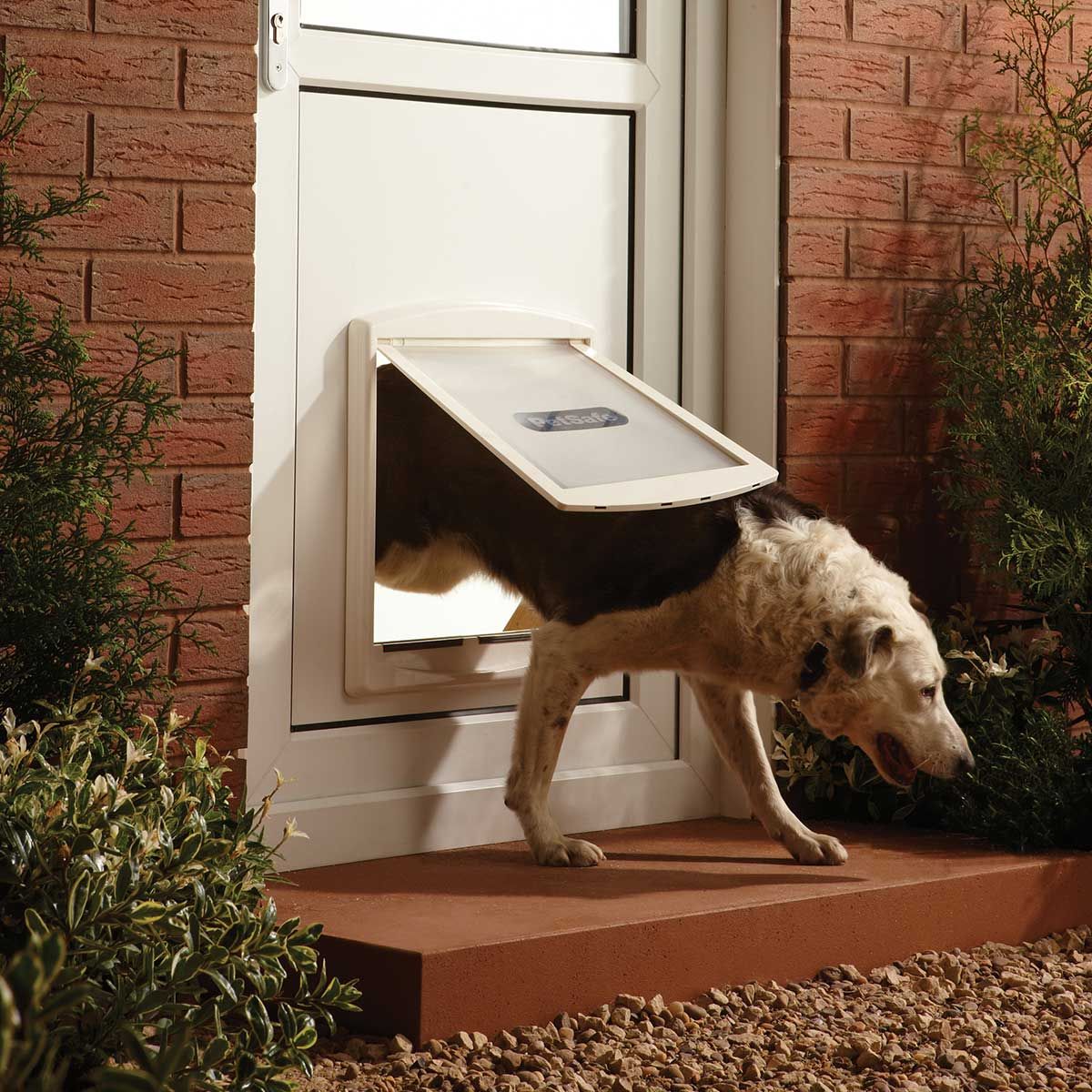 PetSafe Hundeklappe Staywell 760, für Hunde bis 45 kg, im Einsatz