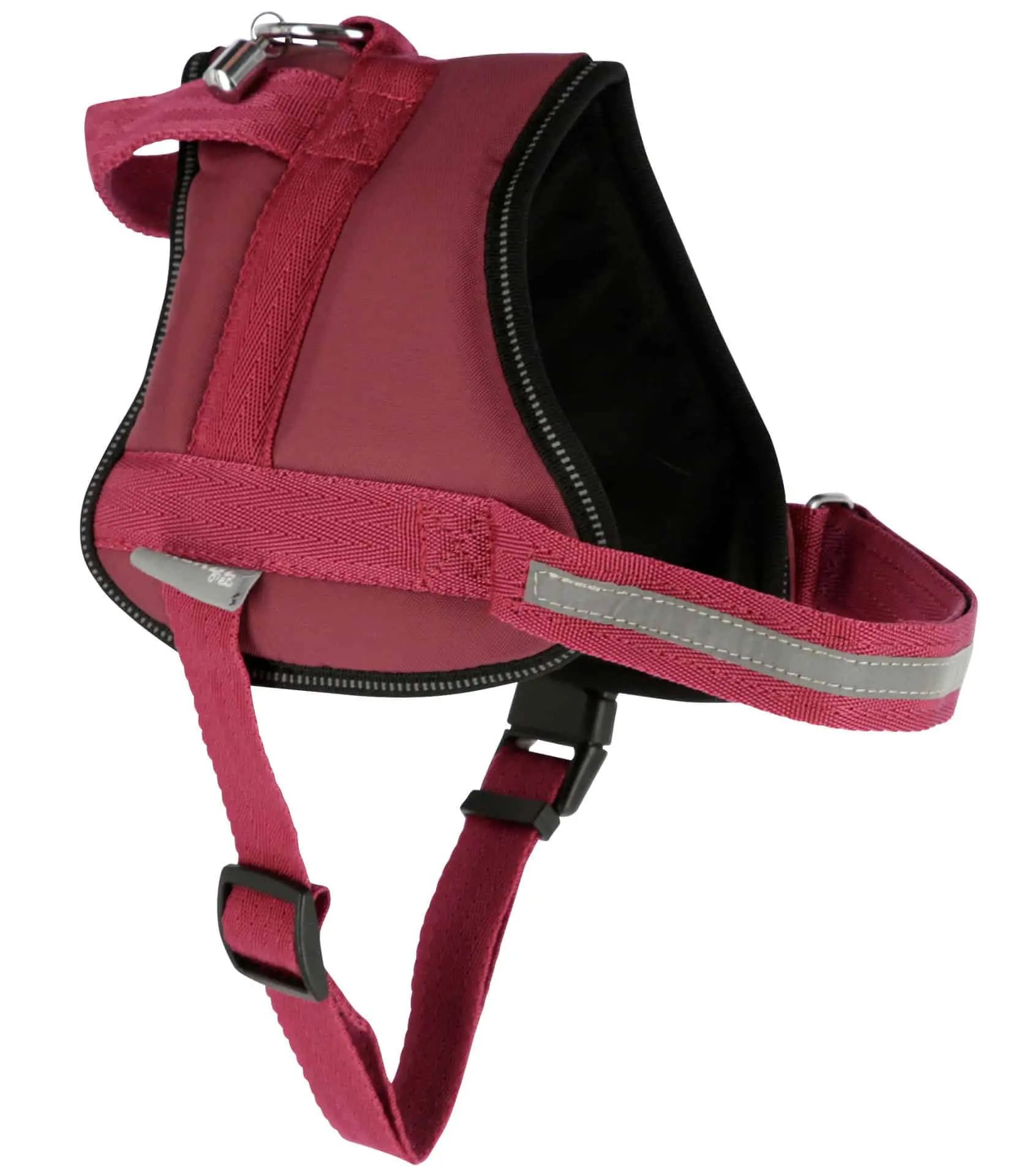 Harnais pour chien Kerbl Maestro 2.0 avec tube d'identification, bordeaux, vue arrière