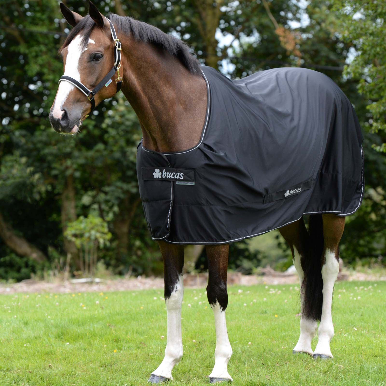 Couverture séchante cheval Bucas Power Cooler 155
