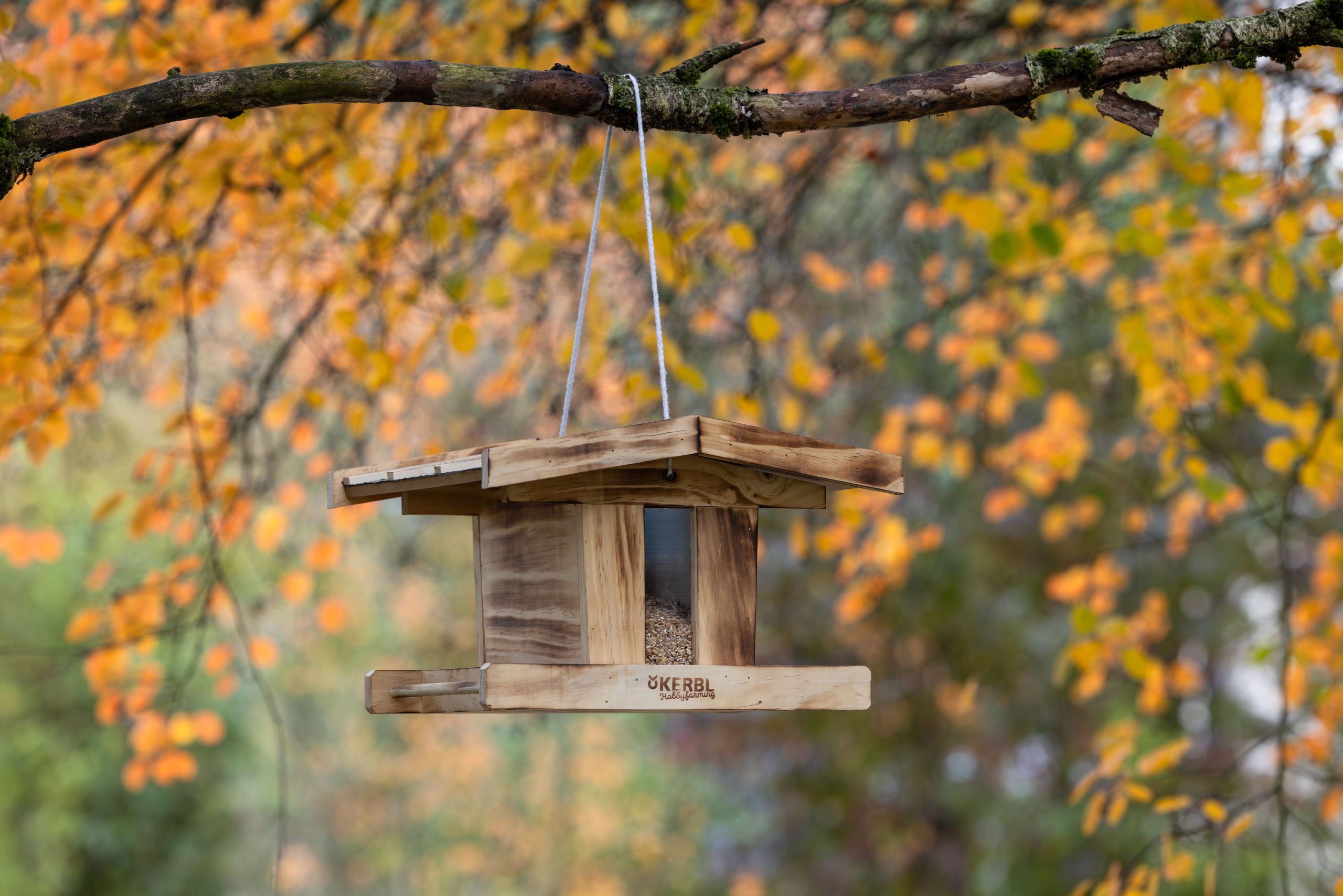 vogelhaus, holz, hängend, herbst, körnerfutter