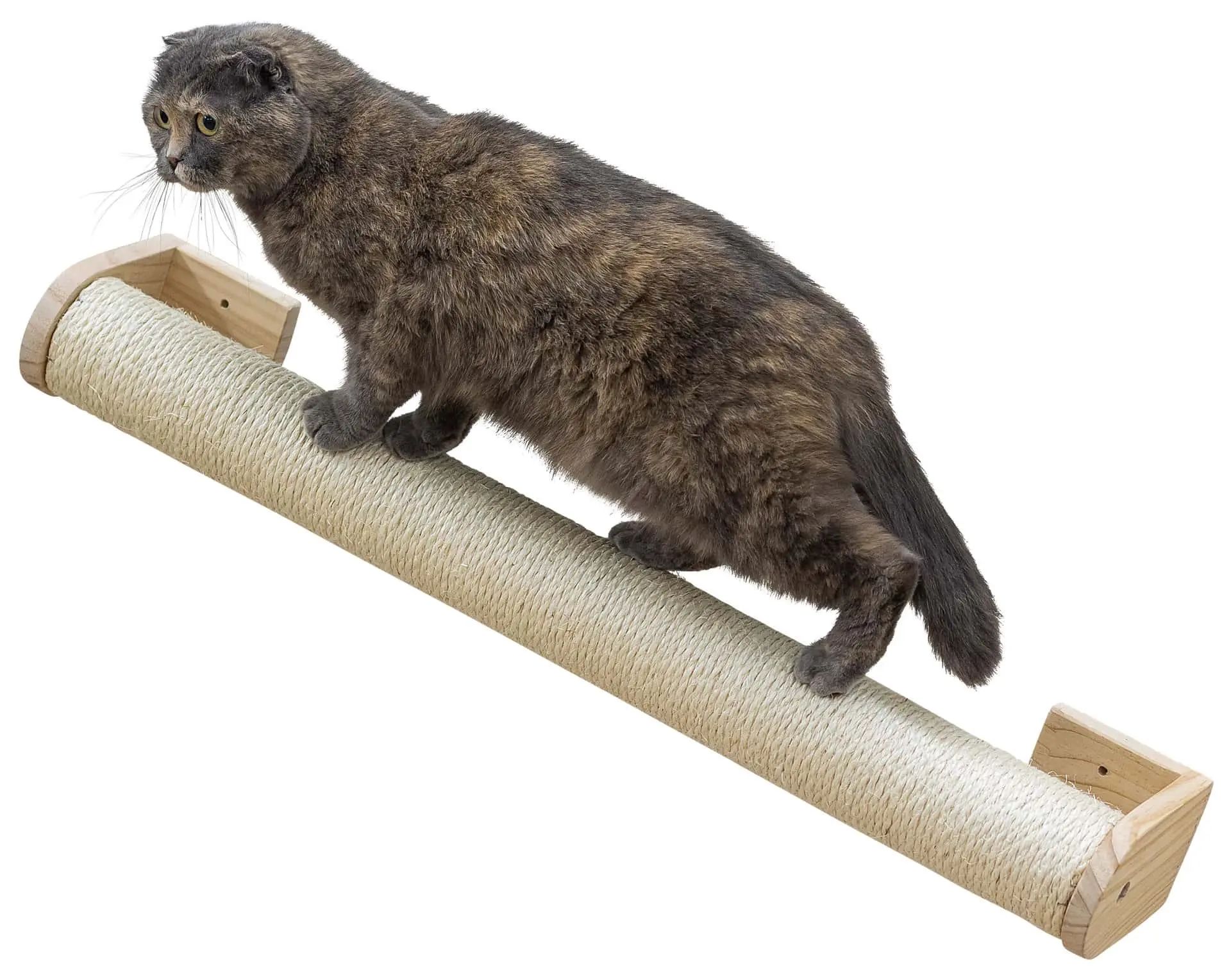 Kerbl Tronc griffoir mural 77 cm, Ø 8,5 cm, sisal, avec équerre