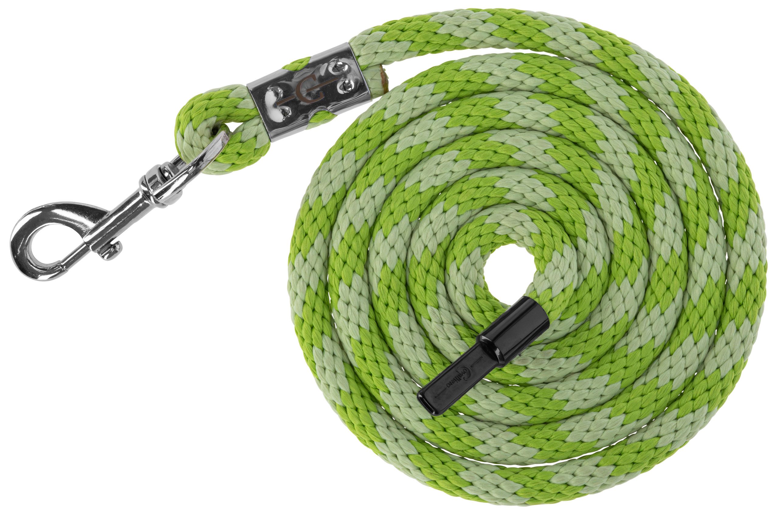leash, rope, green, braided, clip