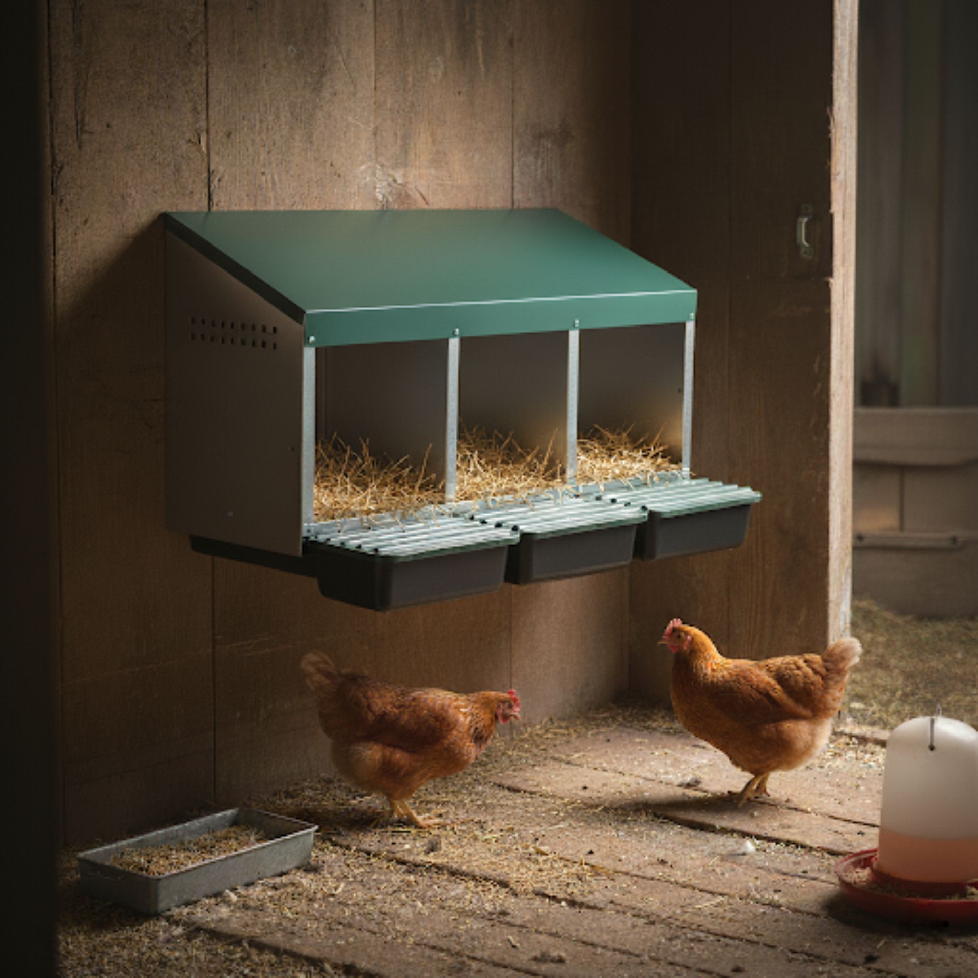 Agrarzone Nido per Galline, Zincato con Fondo in Plastica, in uso, in scuderia