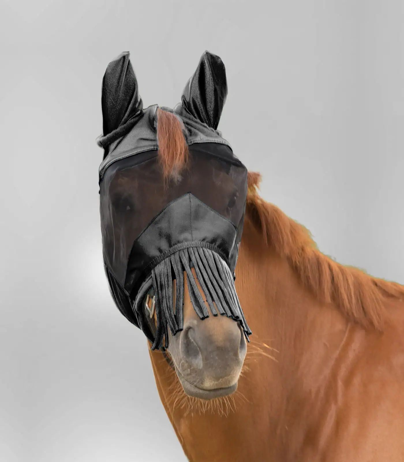 Waldhausen Masque Anti-Mouches PREMIUM, Protection Oreilles, Franges, Anti-UV, Noir, X-FULL