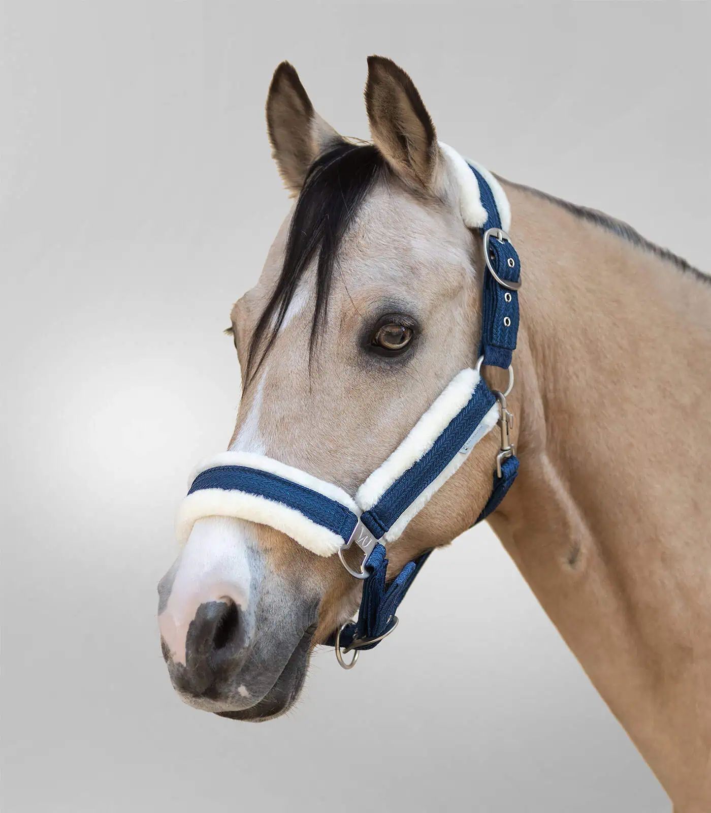 Licol Sparkle Waldhausen, licol moelleux fourré pour chevaux, bleu nuit Full