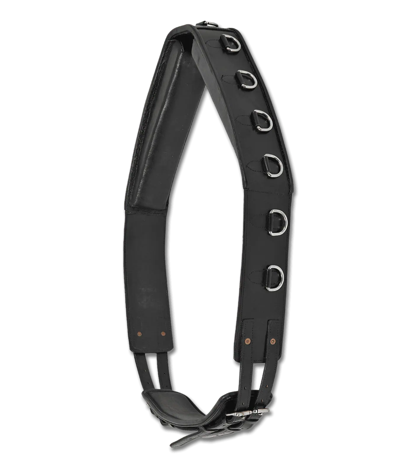 Waldhausen Lunging Surcingle Leather, 13 Rings, Black, Warmblood