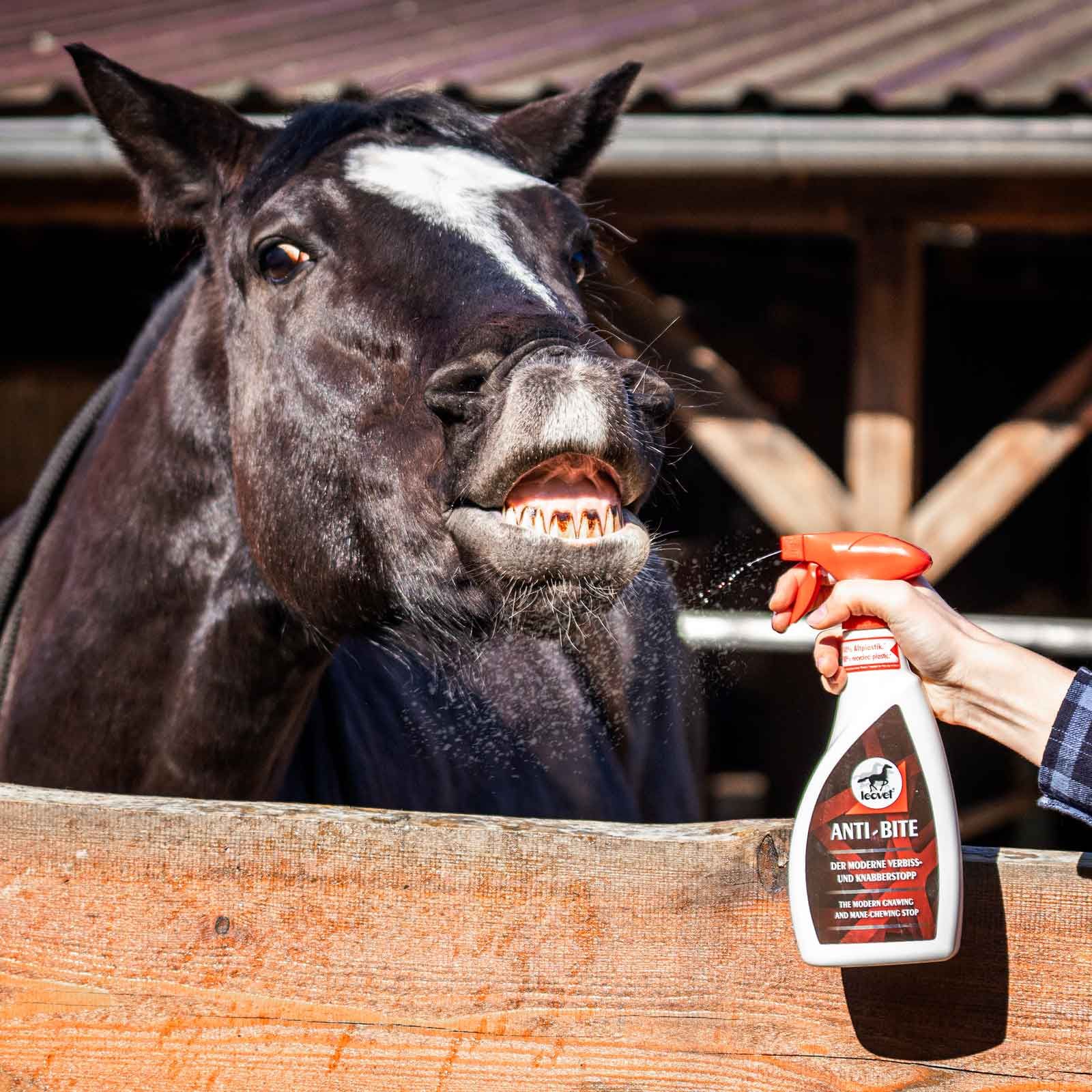 leovet Spray Anti-Roadere pentru Cai, Repelent 550 ml, în utilizare