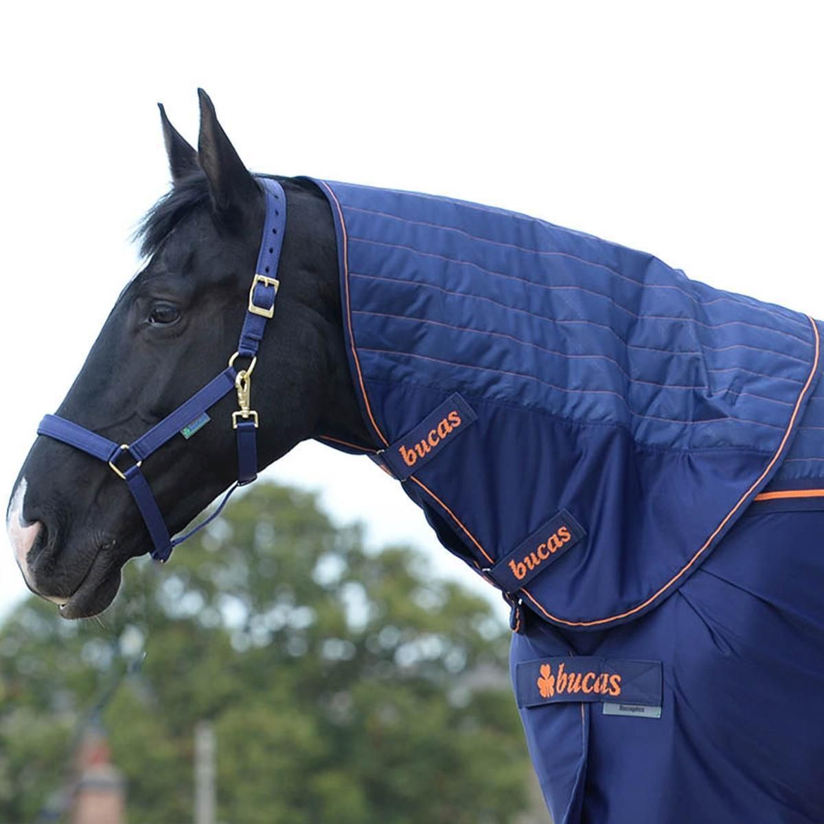 Bucas Therapy Cooler 125