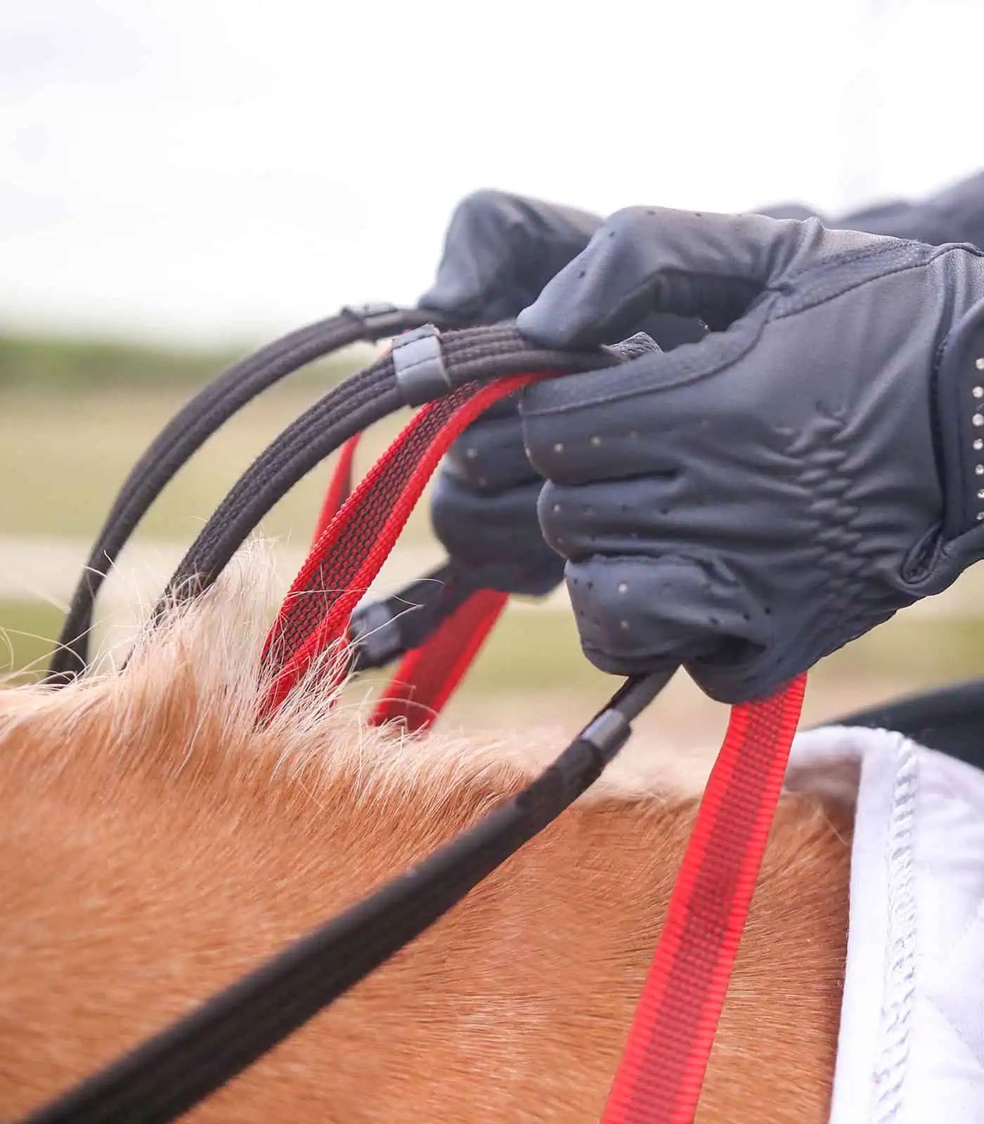 Waldhausen Secutrust Breastplate with Safety Reins, Black, detail view, closure