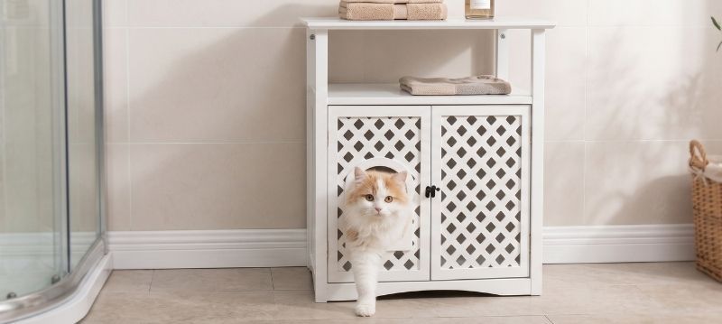 Kattskåp