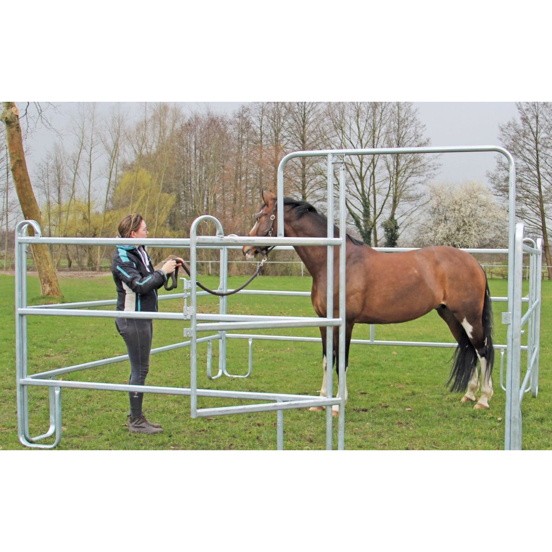Frau fuehrt braunes Pferd in einem Round Pen aus verzinkten Metallgittern auf einer Wiese