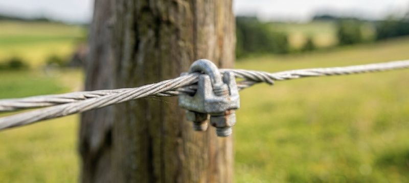 Fili metallici per recinto elettrico