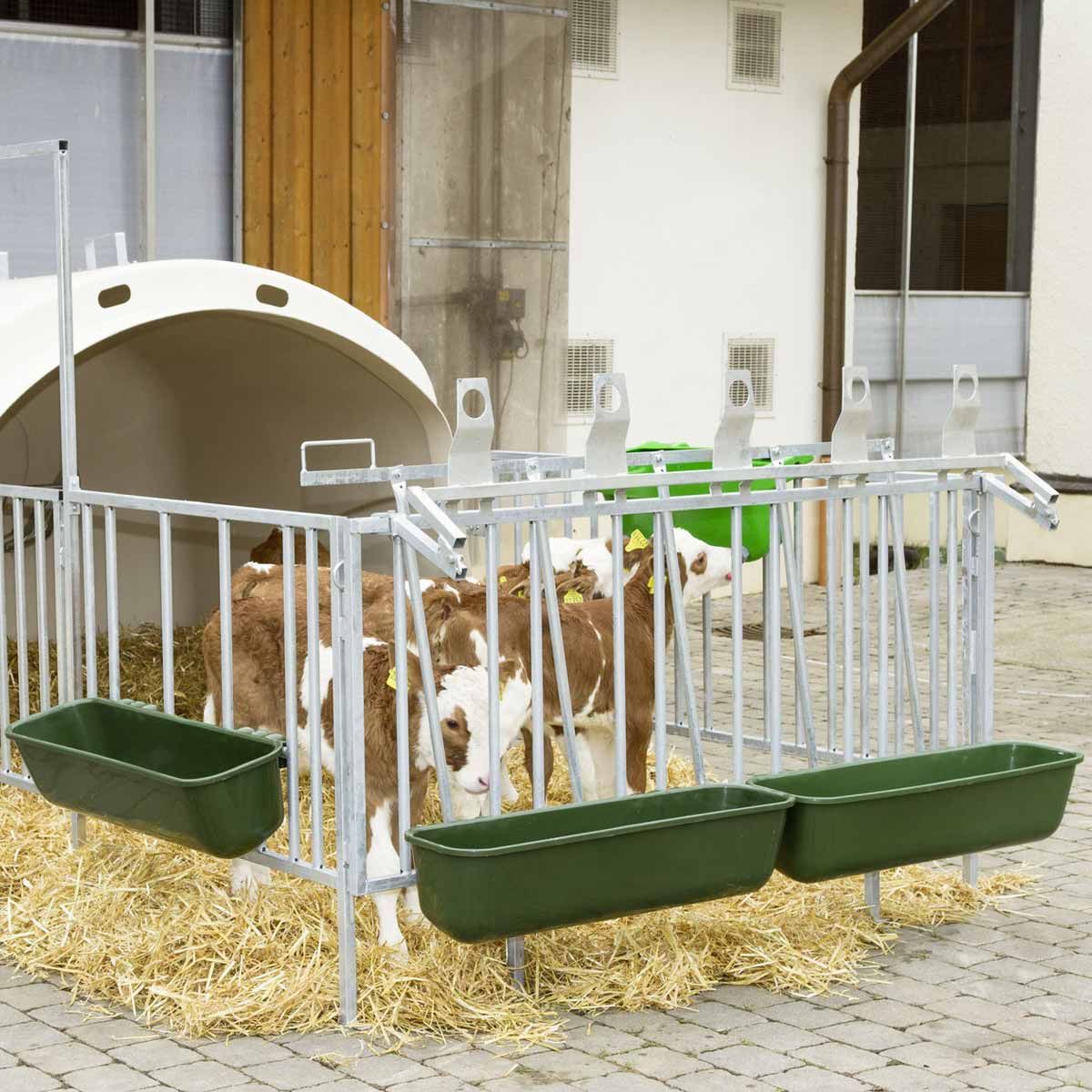 Kerbl Langfuttertrog zum Einhängen, 42 Liter, glasfaserverstärkt, im Einsatz, im Stall
